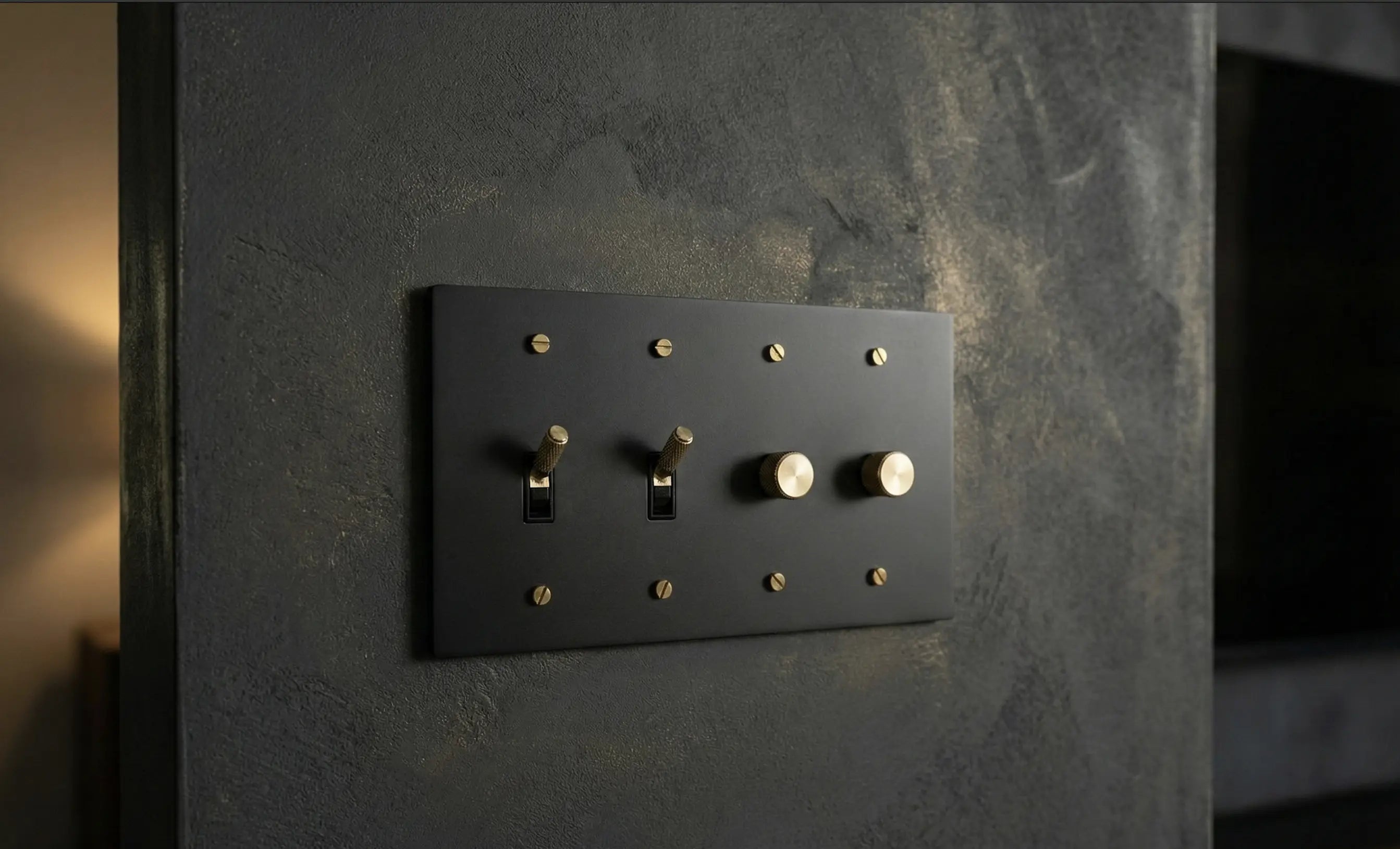 Black light switch plate with brass accents