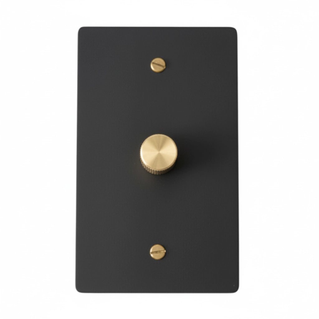 Black dimmer switch wall plate with gold knob on a white background