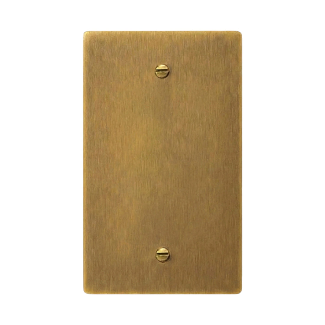 1-gang solid brass blank wall plate in Antique Brass (hand-brushed) finish