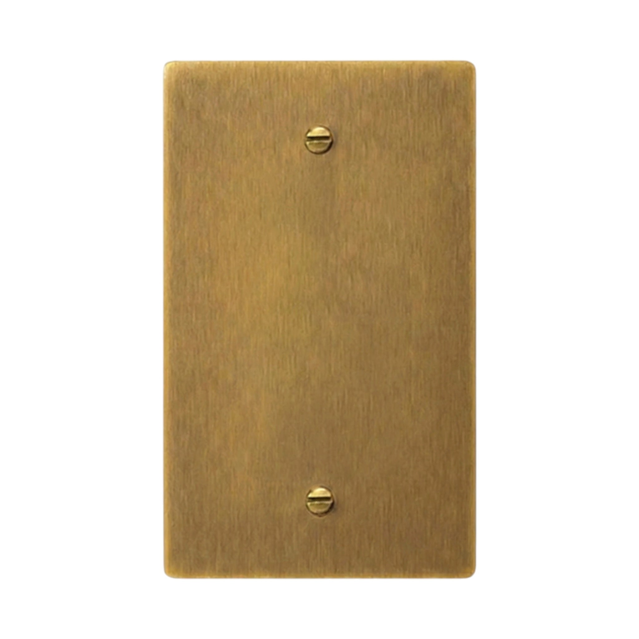 1-gang solid brass blank wall plate in Antique Brass (hand-brushed) finish