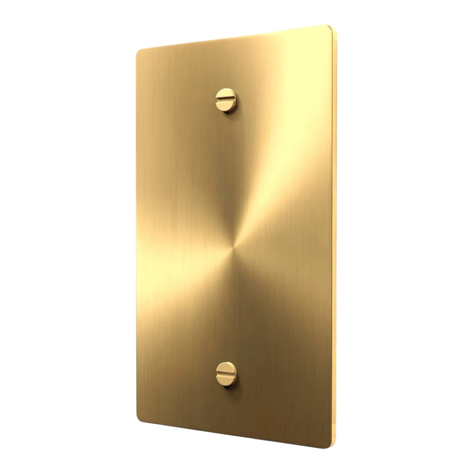 Blank brass wall plate with matching screws.