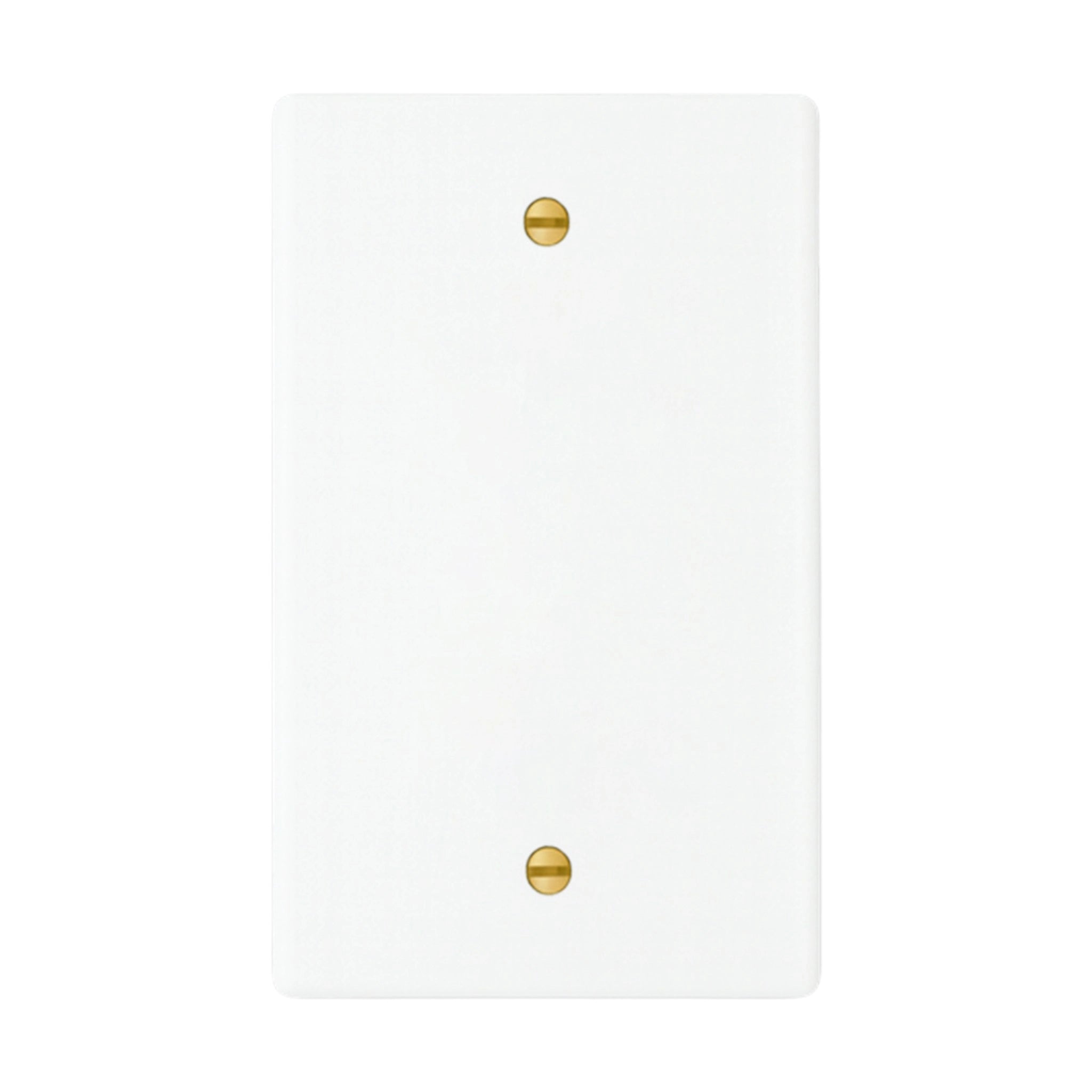 1-gang blank wall plate in White finish with brass screws