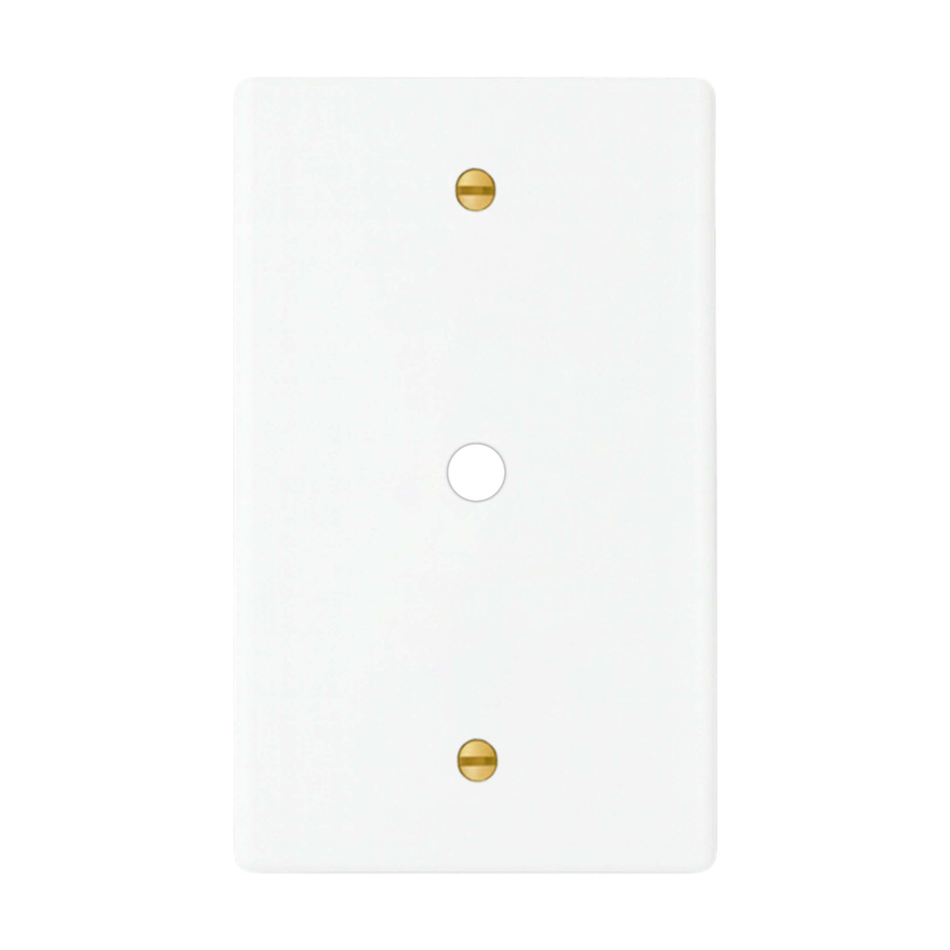 1-gang solid brass wall plate in white finish, rotary dimmer opening with brass screws