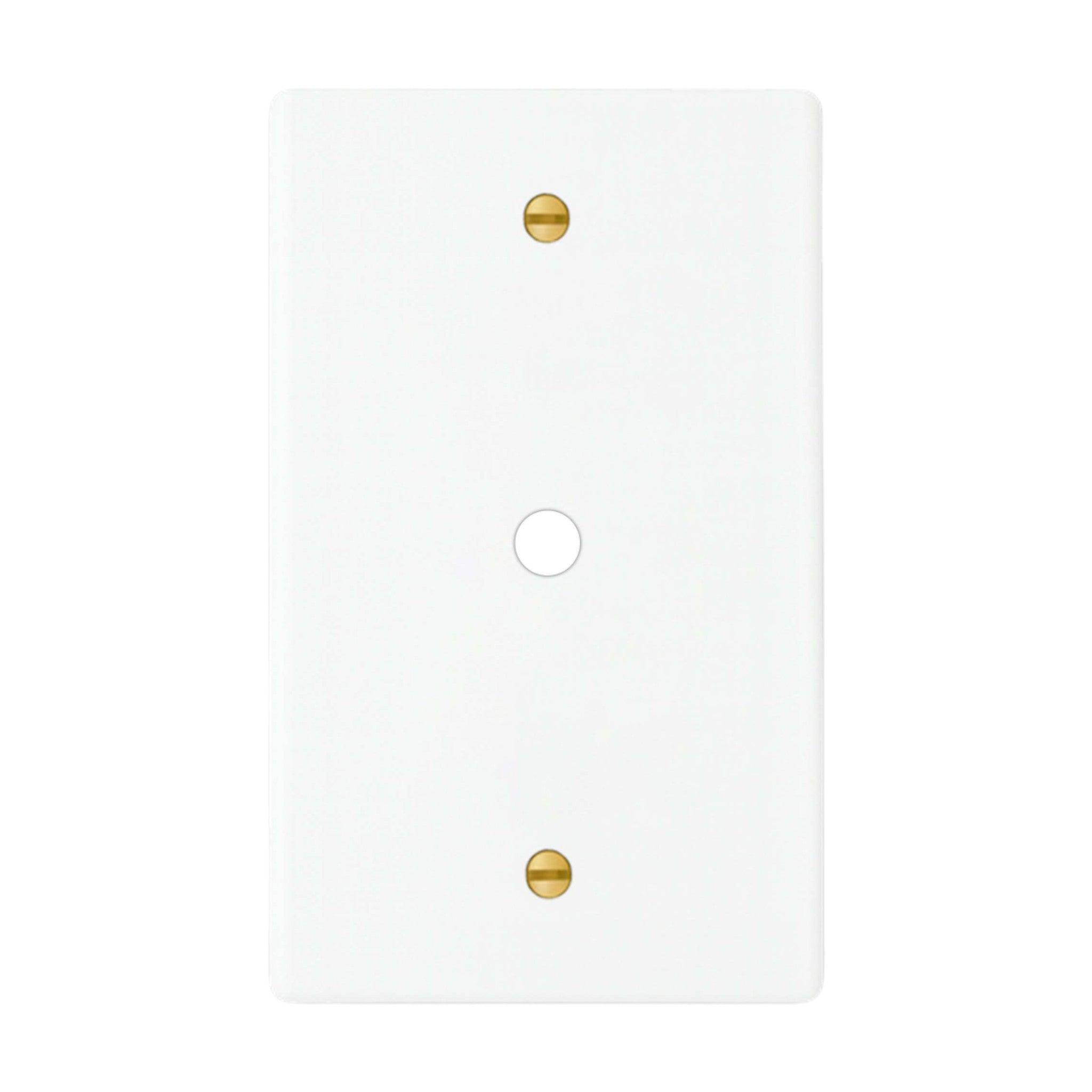 1-gang solid brass wall plate in white finish, rotary dimmer opening with brass screws