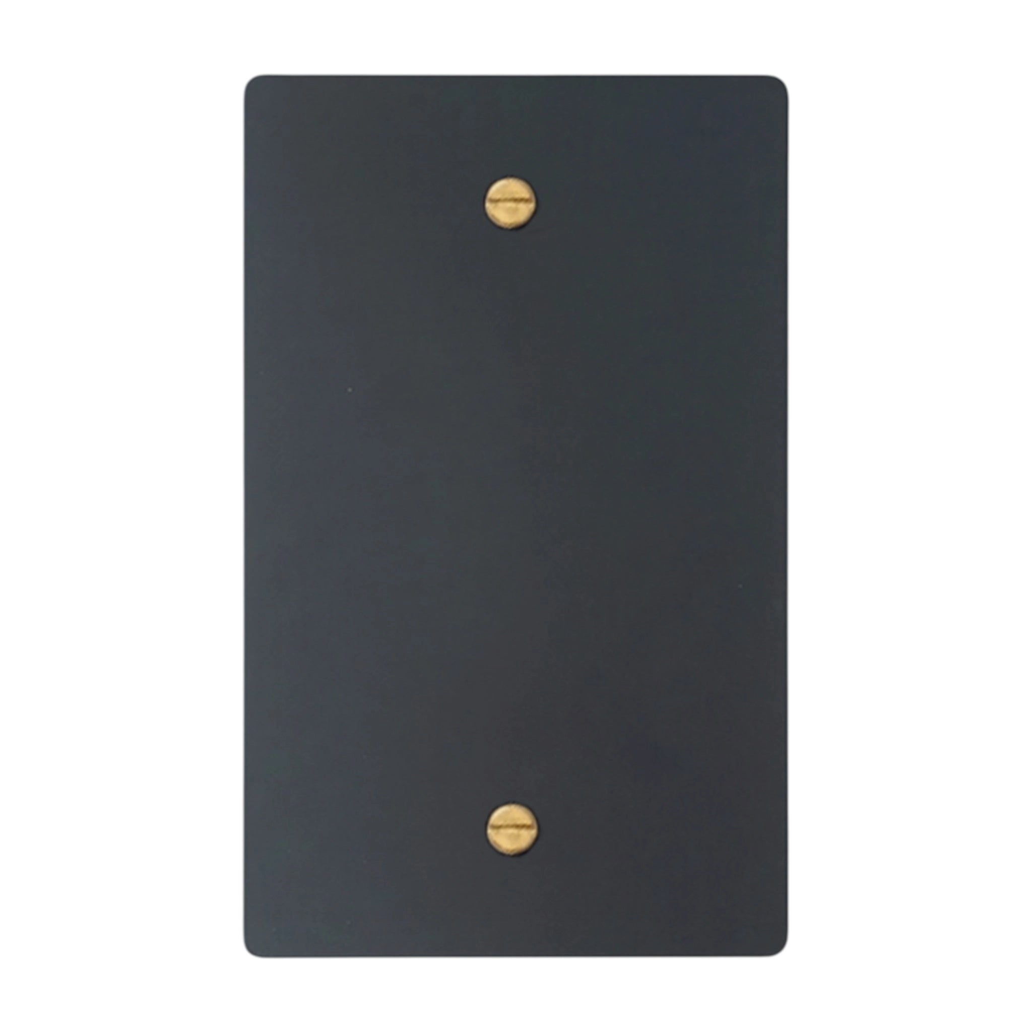 1-gang blank wall plate in Matte Black finish with brass screws (coated brass)
