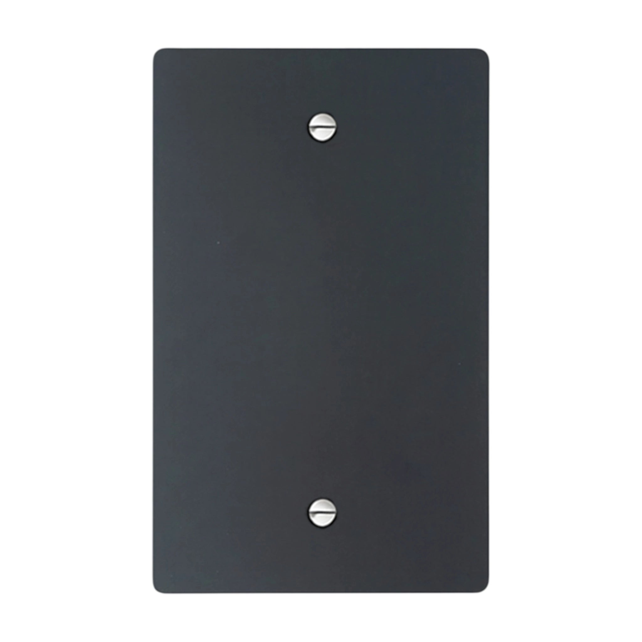 1-gang blank wall plate in Matte Black finish with silver screws