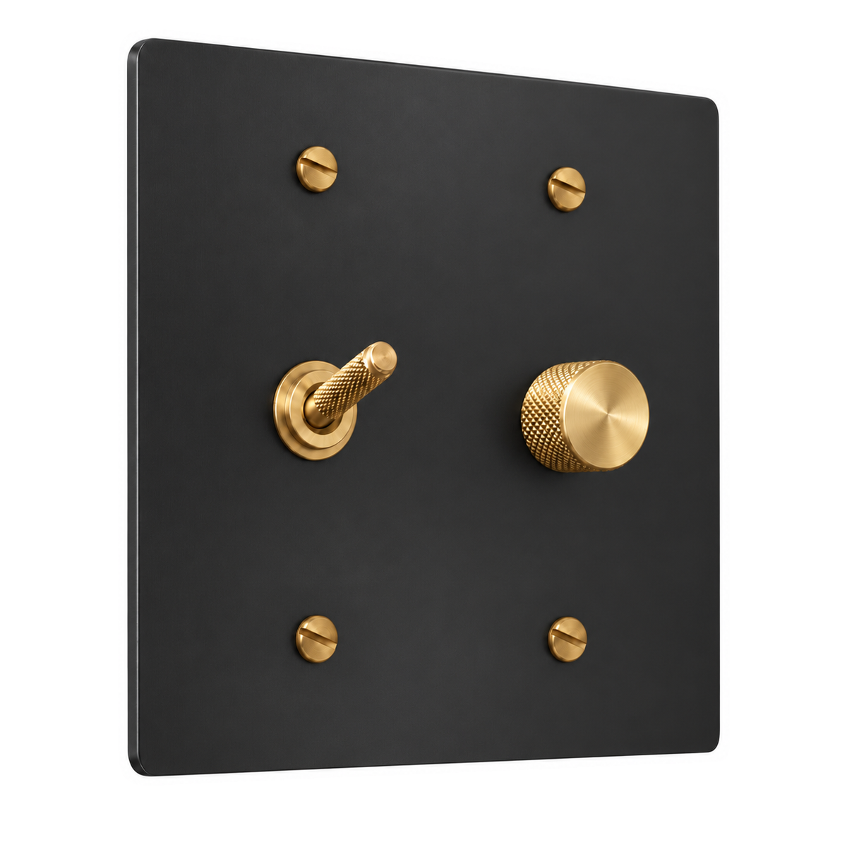 2-Gang Solid Brass Knurled Toggle Light Switch & Rotary Dimmer in Black with Brass Accents; 1 toggle + 1 rotary dimmer on a white background