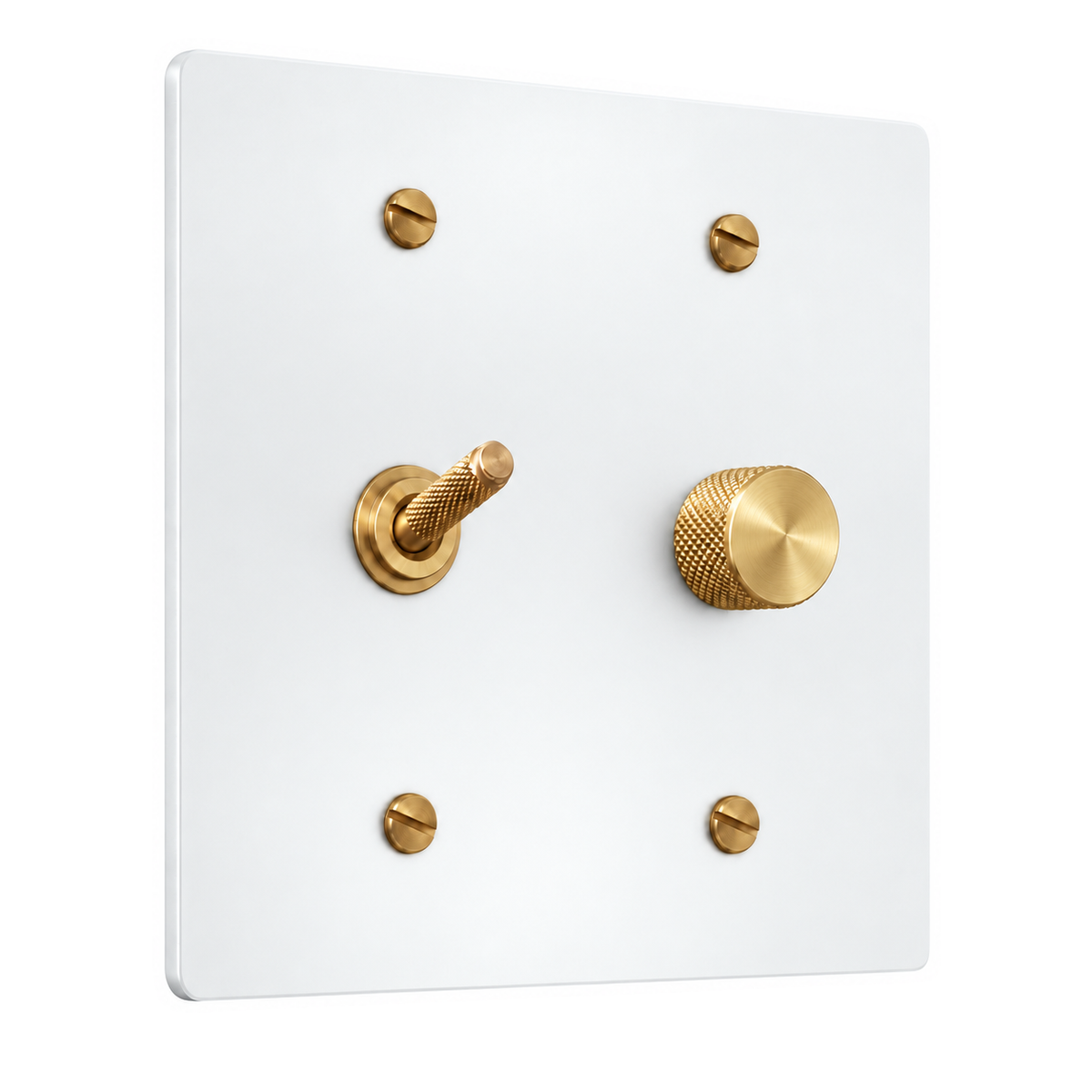 2-Gang Solid Brass Knurled Toggle Light Switch & Rotary Dimmer in White with Brass Accents; 1 toggle + 1 rotary dimmer on a white background