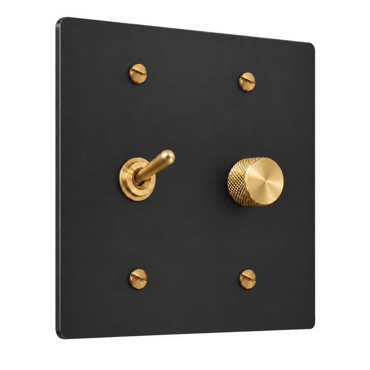 2-Gang Solid Brass Toggle Light Switch & Rotary Dimmer in Black with Brass Accents; 1 toggle + 1 rotary dimmer on a white background