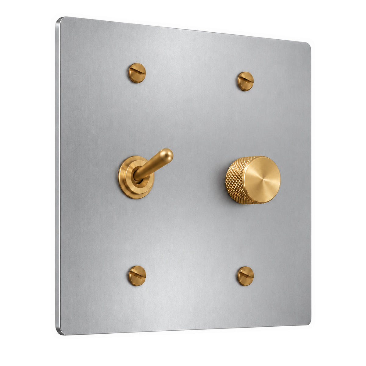 2-Gang Solid Brass Toggle Light Switch & Rotary Dimmer in Stainless Steel; 1 toggle + 1 rotary dimmer on a white background
