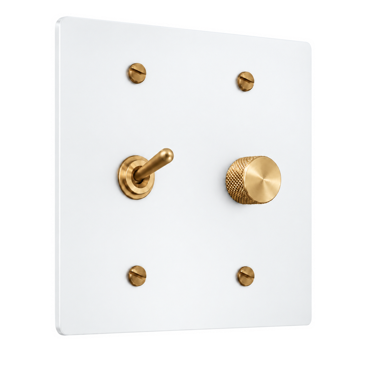 2-Gang Solid Brass Toggle Light Switch & Rotary Dimmer in White with Brass Accents; 1 toggle + 1 rotary dimmer on a white background