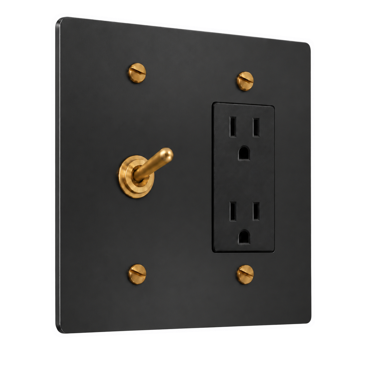 2-Gang Solid Brass Toggle Light Switch & Duplex Outlet in Black with Brass Accents; 1 toggle + 1 duplex outlet on a white background