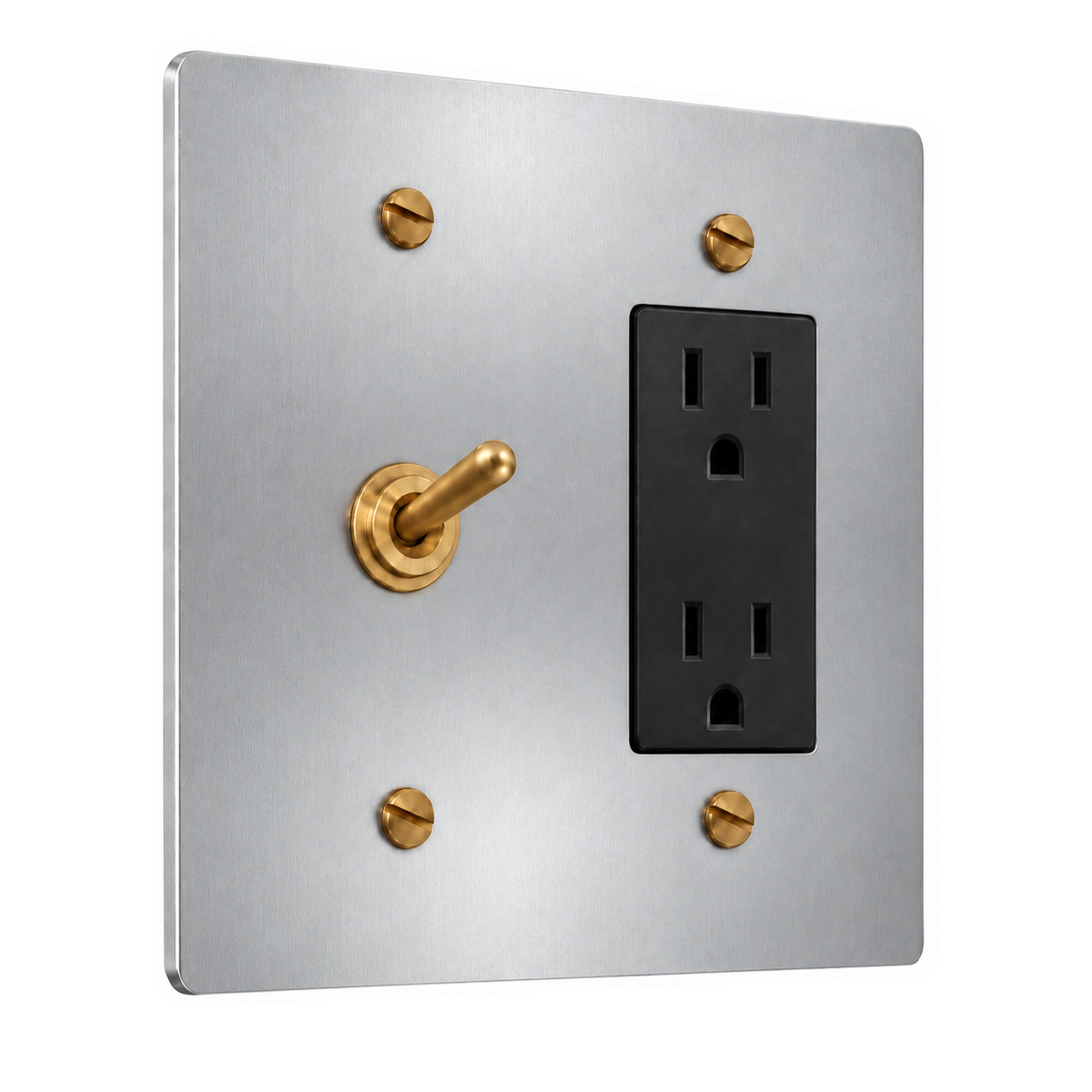 2-Gang Solid Brass Toggle Light Switch & Duplex Outlet in Stainless Steel; 1 toggle + 1 duplex outlet on a white background