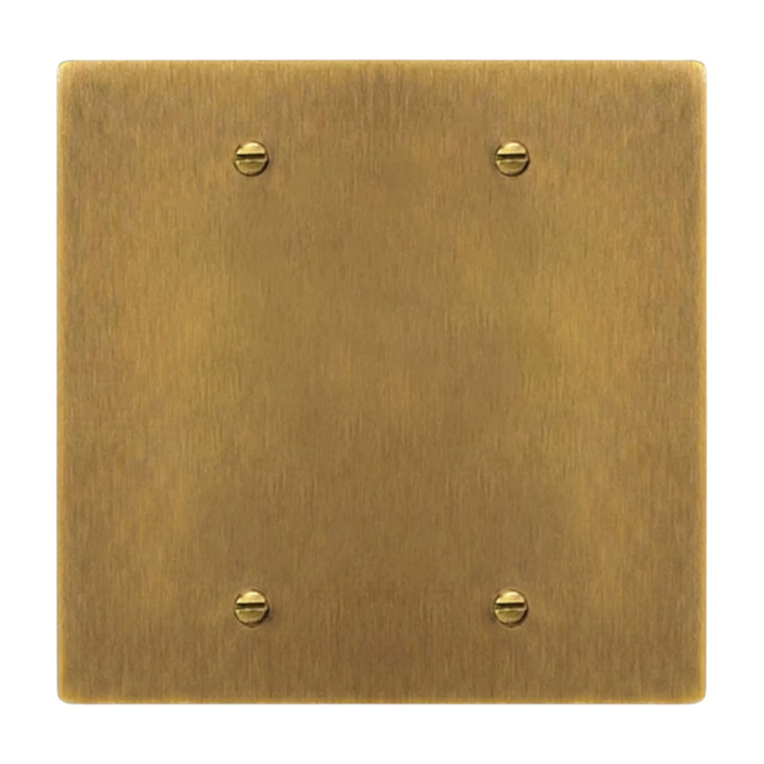 2-gang solid brass blank wall plate in Antique Brass (hand-brushed) finish