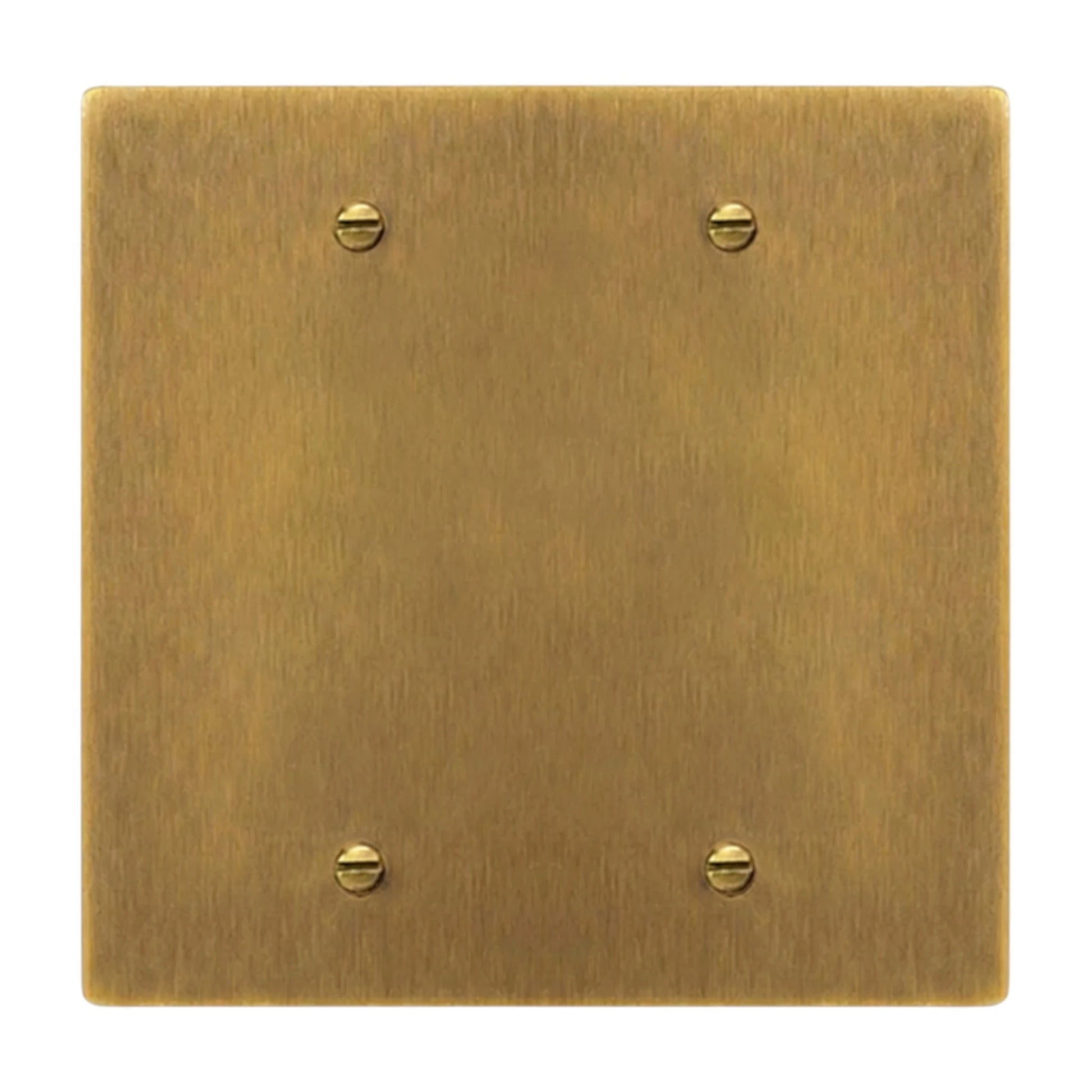 2-gang solid brass blank wall plate in Antique Brass (hand-brushed) finish