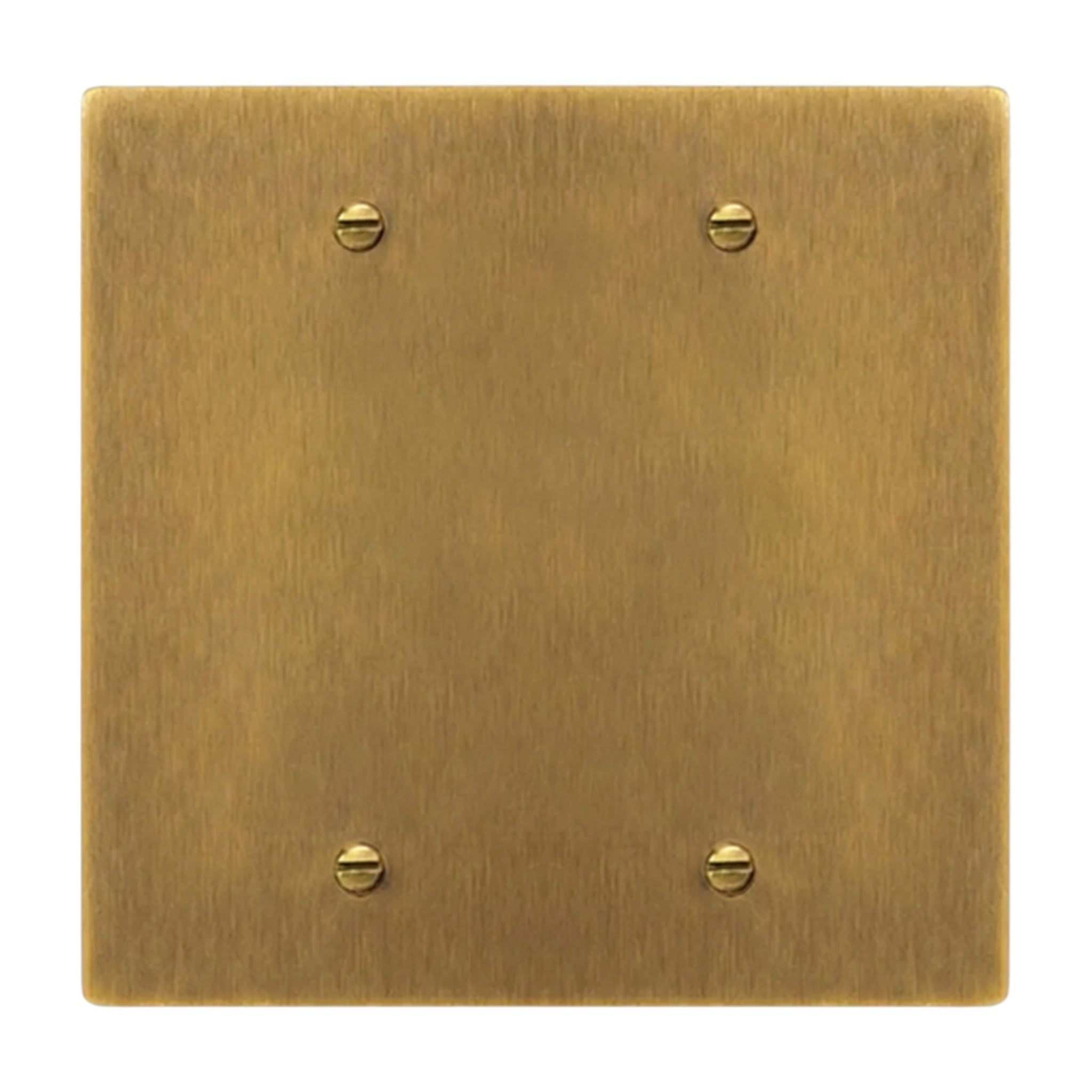 2-gang solid brass blank wall plate in Antique Brass (hand-brushed) finish