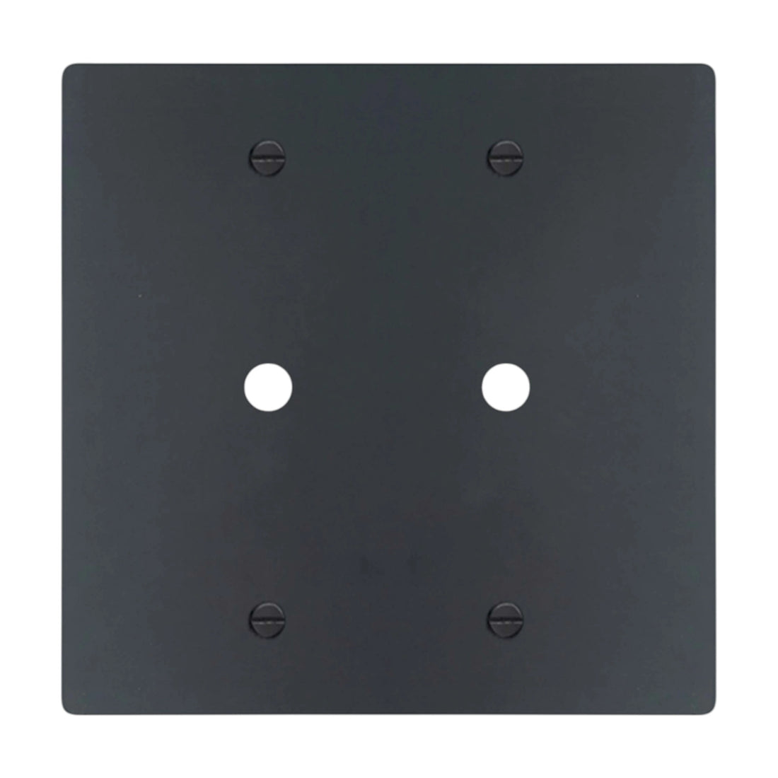 2-gang solid brass wall plate in matte black finish, double rotary dimmer opening
