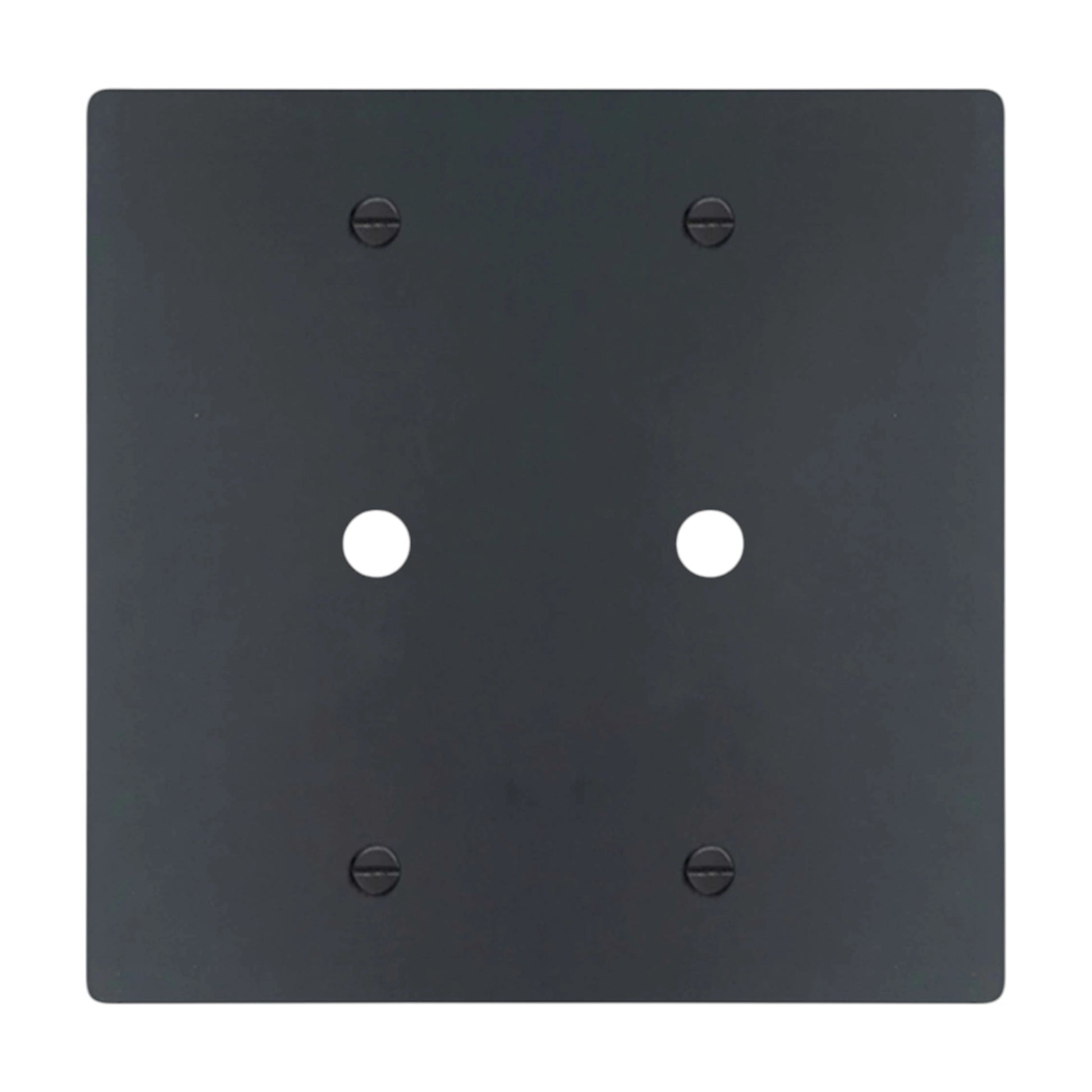 2-gang solid brass wall plate in matte black finish, double rotary dimmer opening