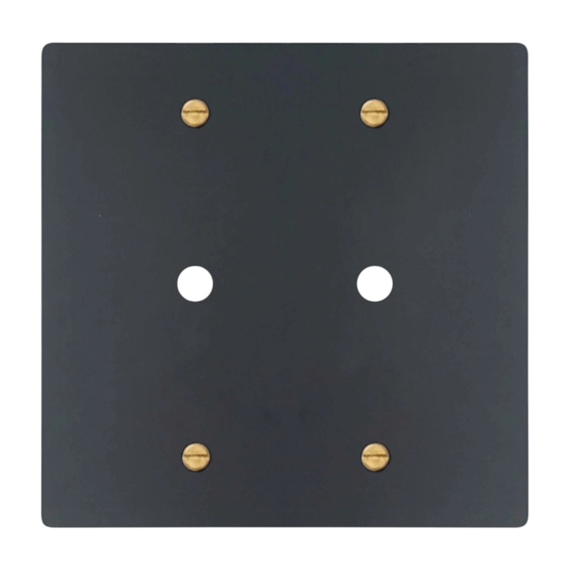 2-gang solid brass wall plate in matte black finish with brass accents, double rotary dimmer opening