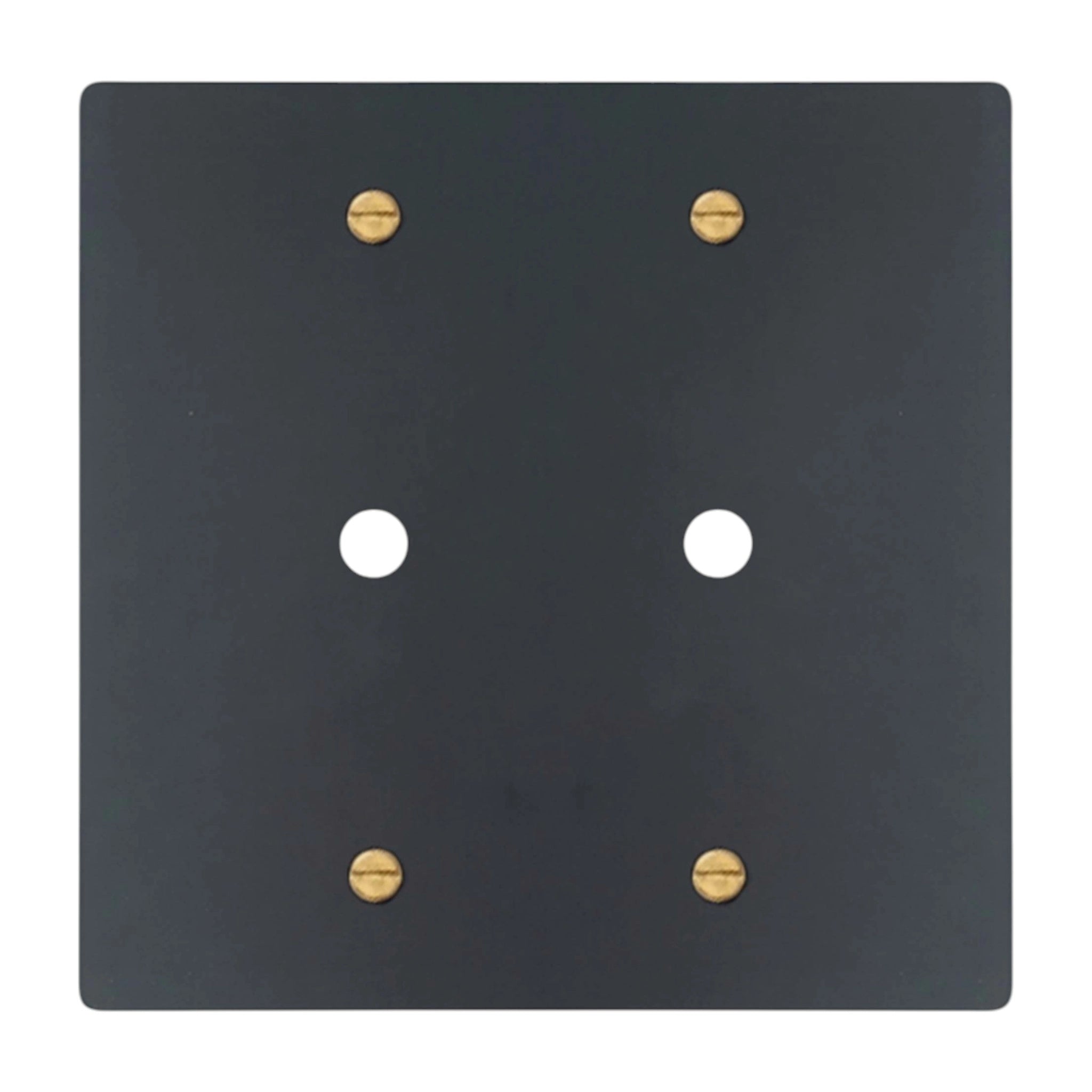 2-gang solid brass wall plate in matte black finish with brass accents, double rotary dimmer opening