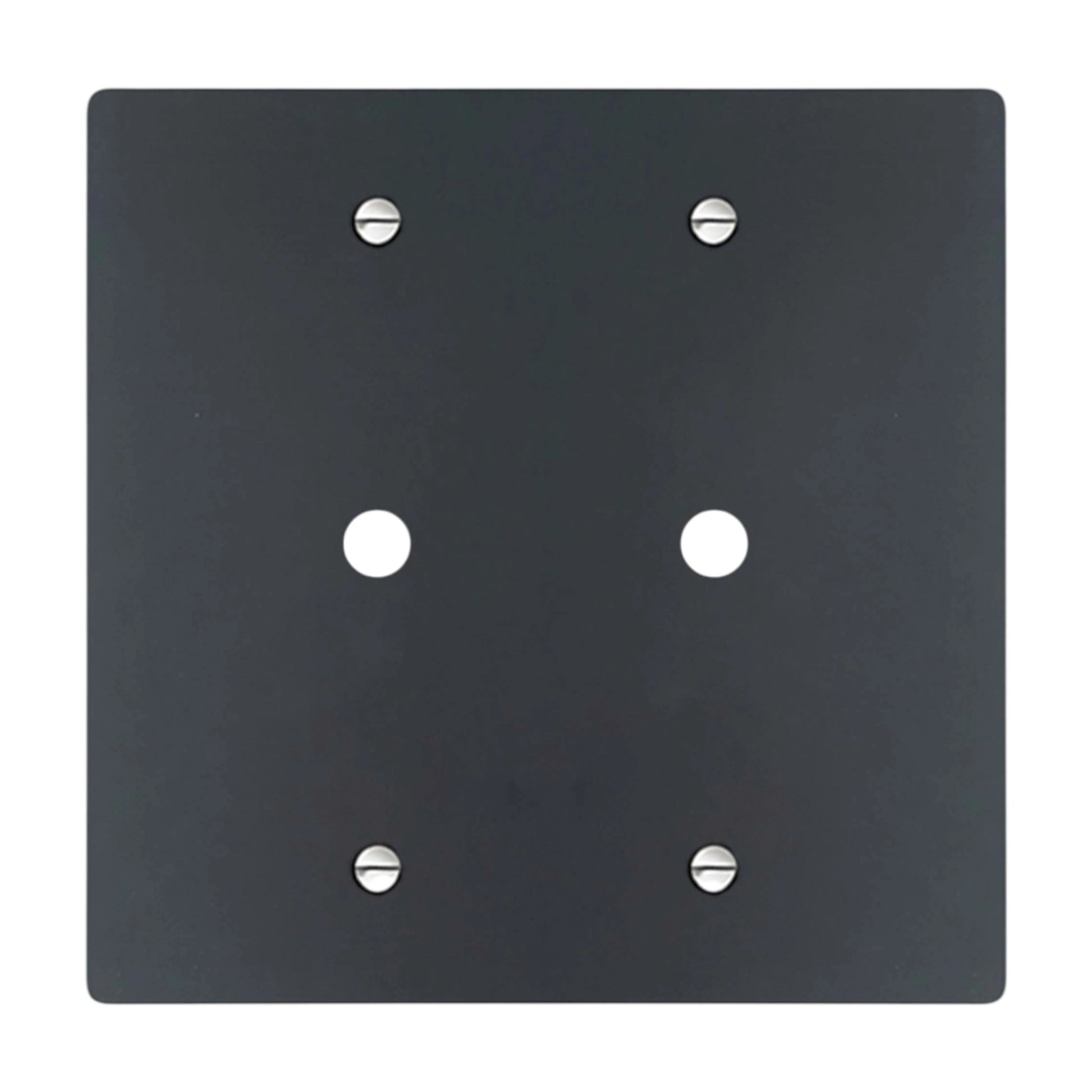 2-gang solid brass wall plate in matte black finish, double rotary dimmer opening