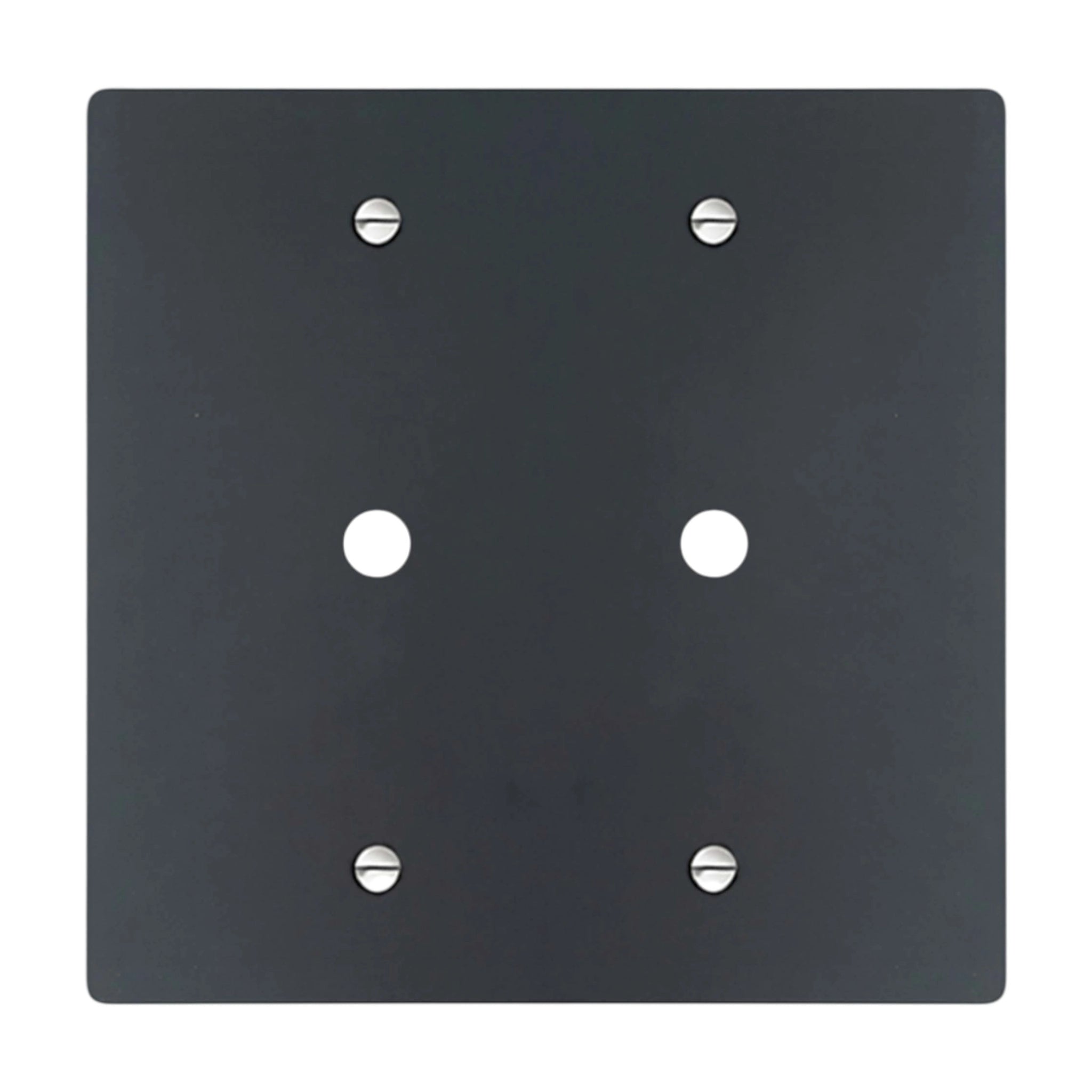 2-gang solid brass wall plate in matte black finish, double rotary dimmer opening