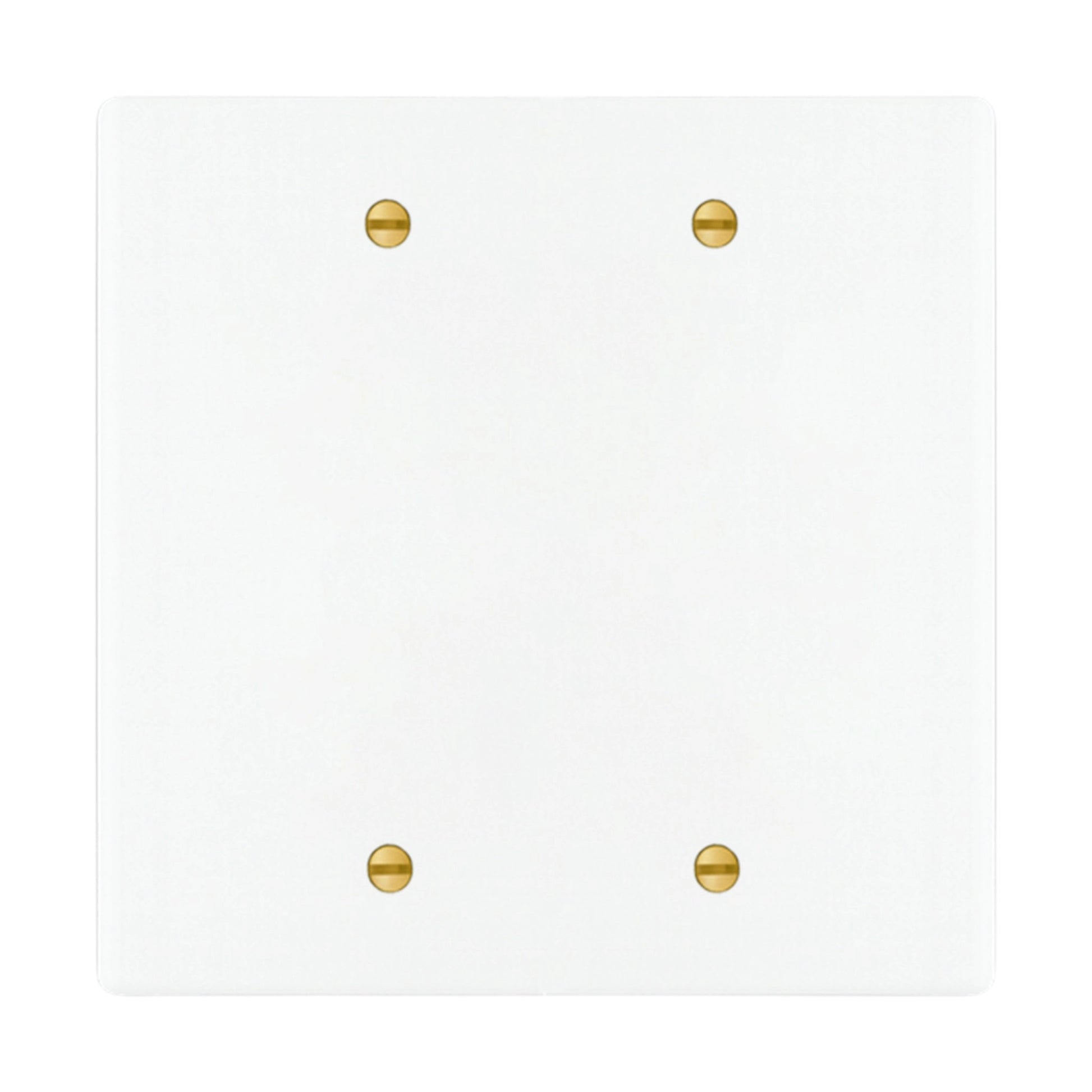 2-gang blank wall plate in White with Brass Accents finish