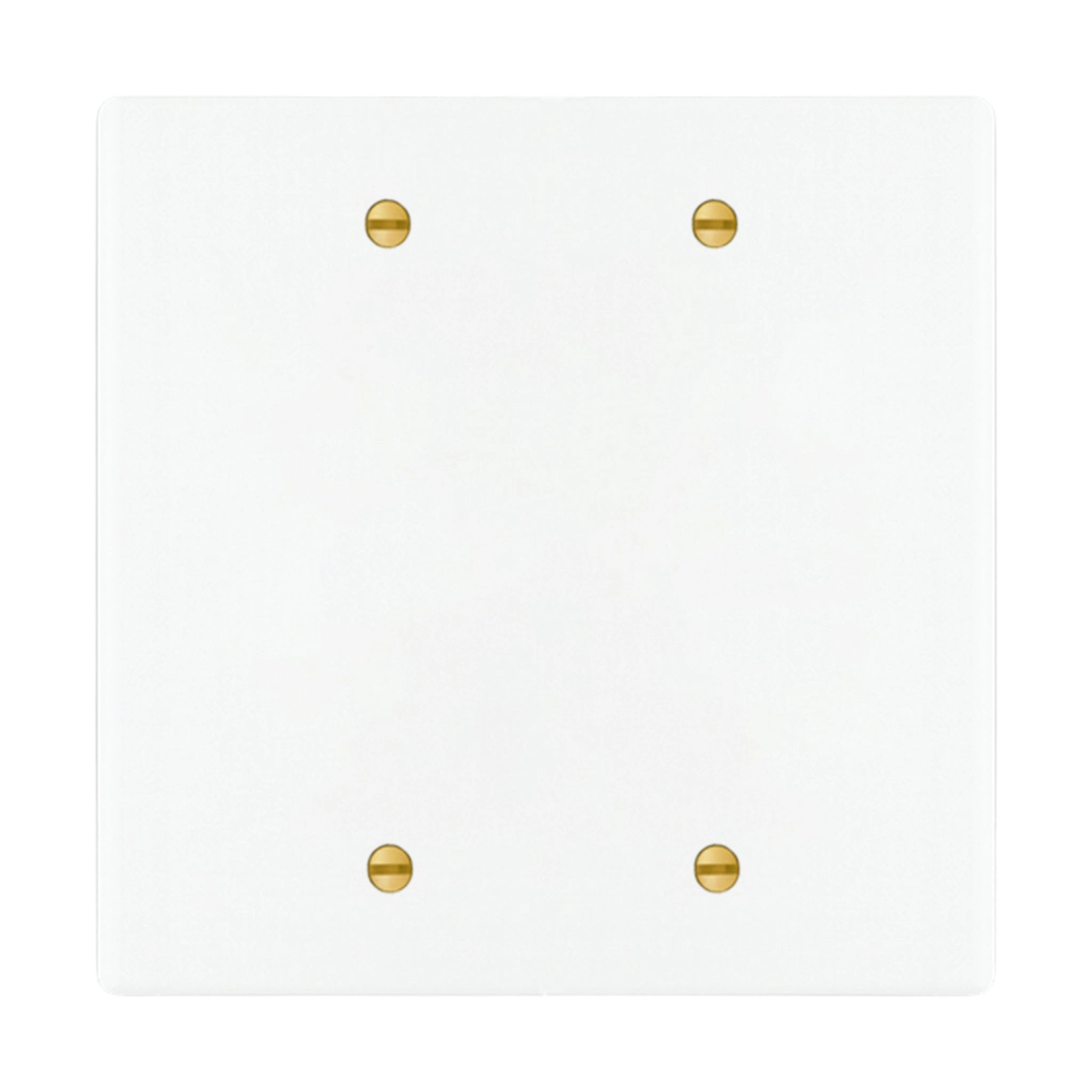 2-gang blank wall plate in White with Brass Accents finish