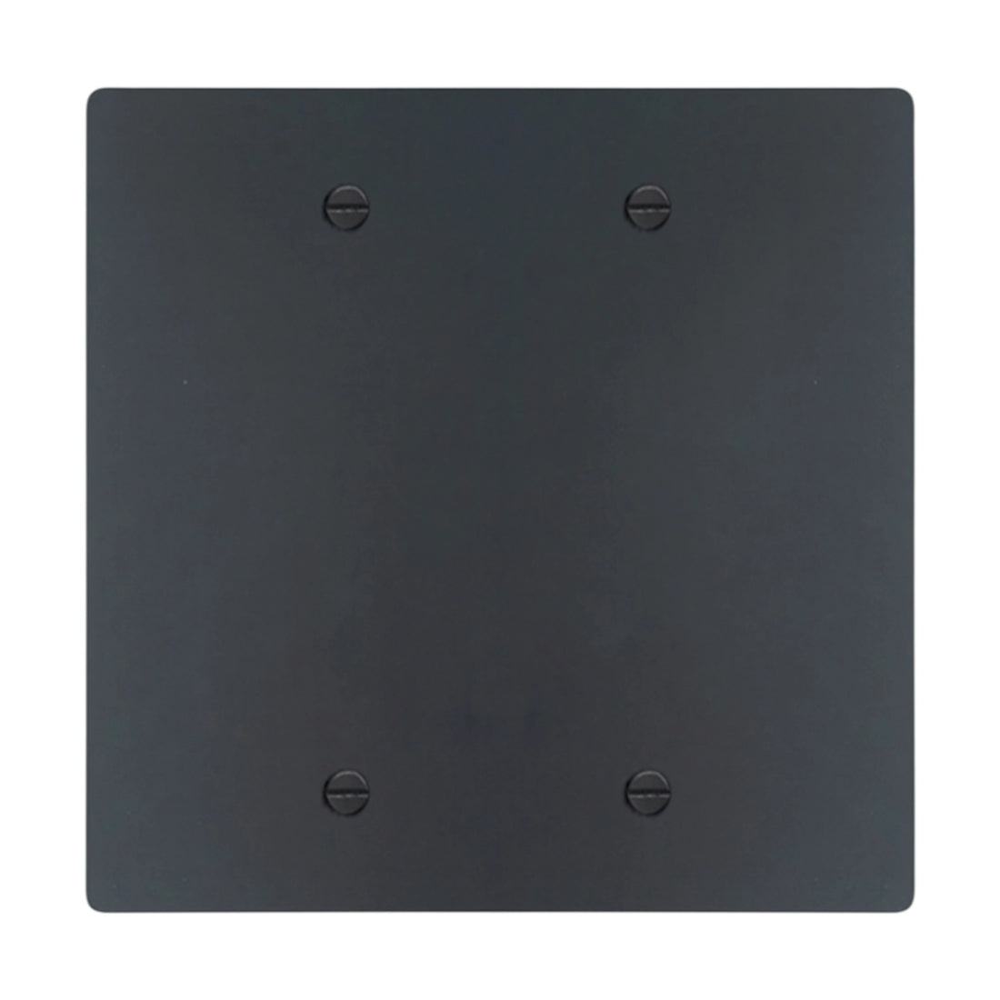 2-gang blank wall plate in Matte Black finish (coated brass)