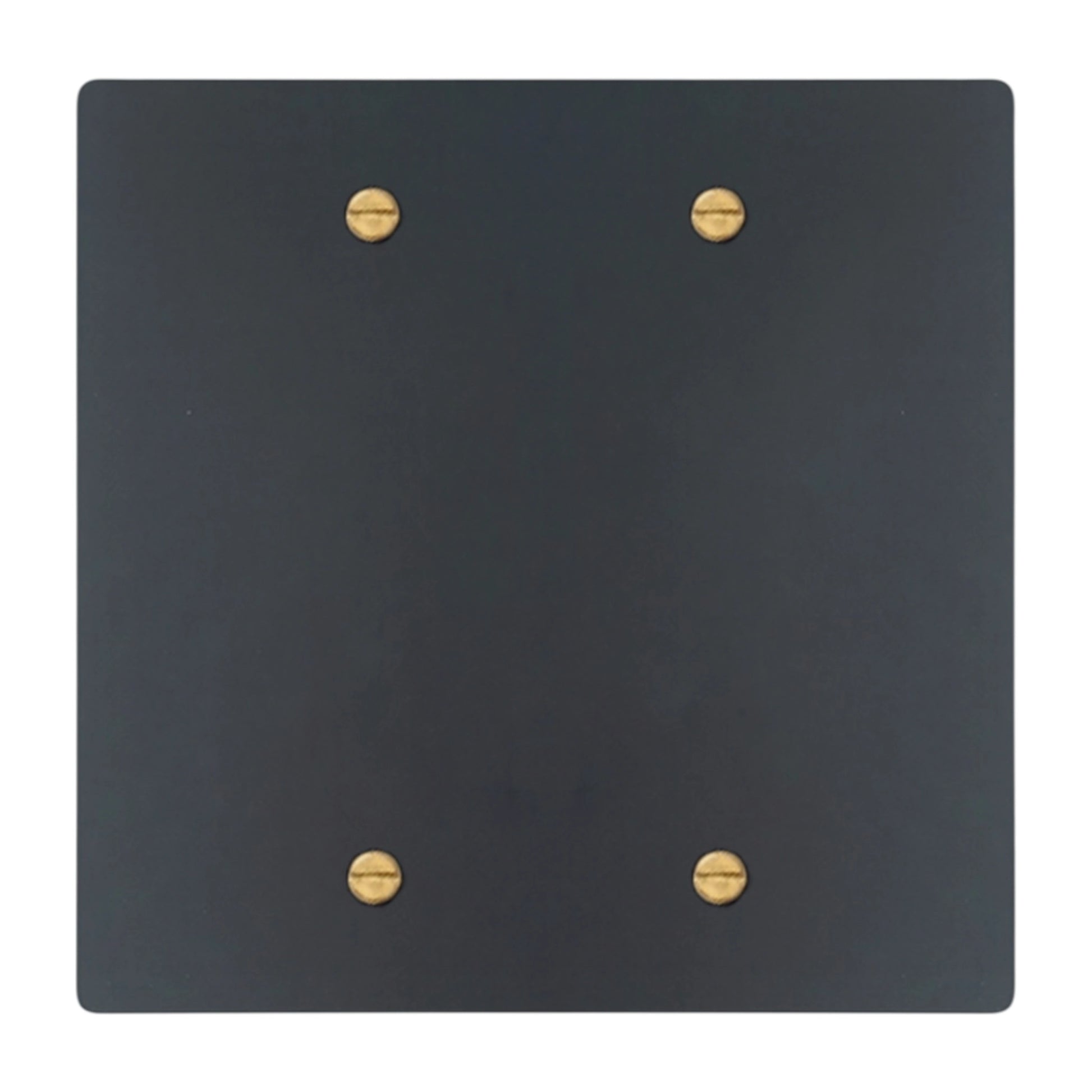2-gang blank wall plate in Matte Black finish with brass screws (coated brass)