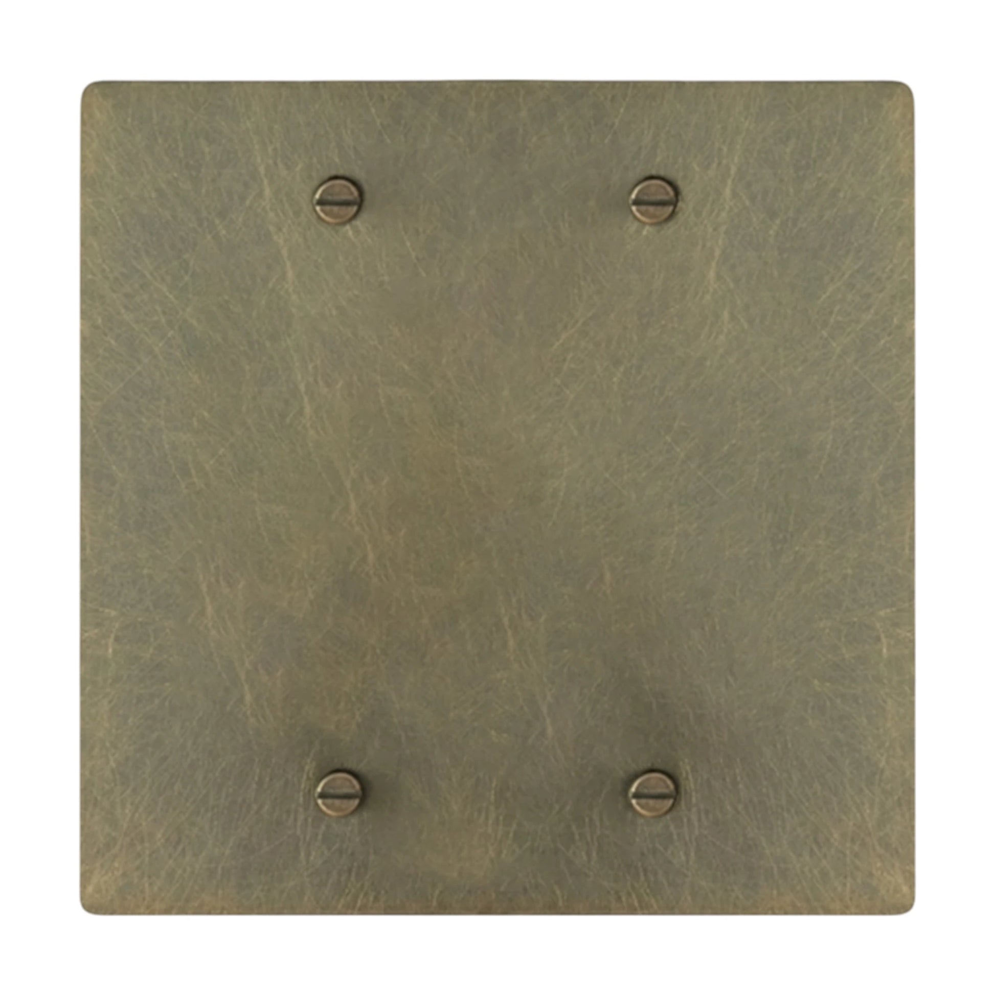 2-gang solid brass blank wall plate in Aged Bronze (hand-brushed) finish