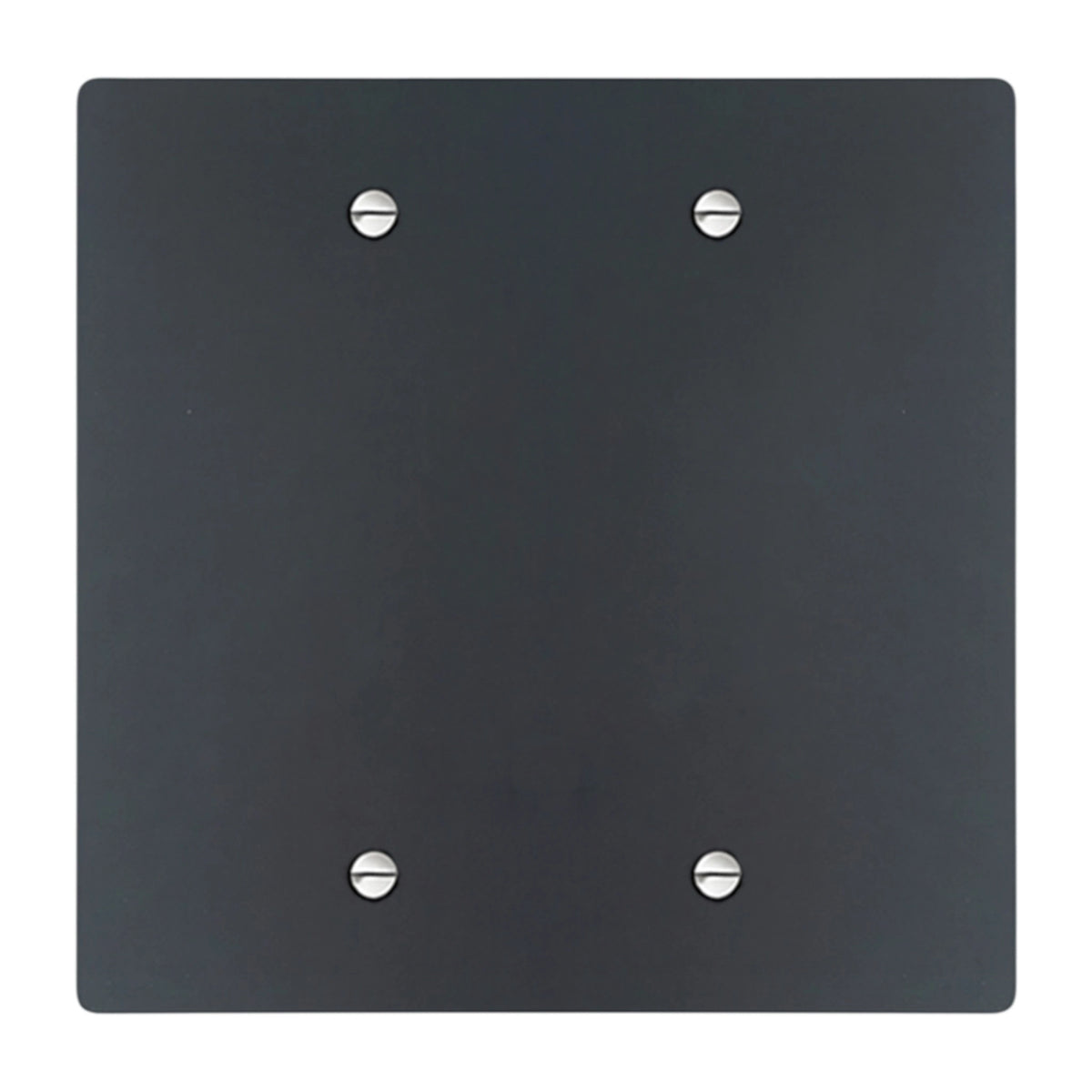 Square Fall Plate 2-Gang Solid Brass Blank Wall Plate (No Cutout) | GetSwitches ...