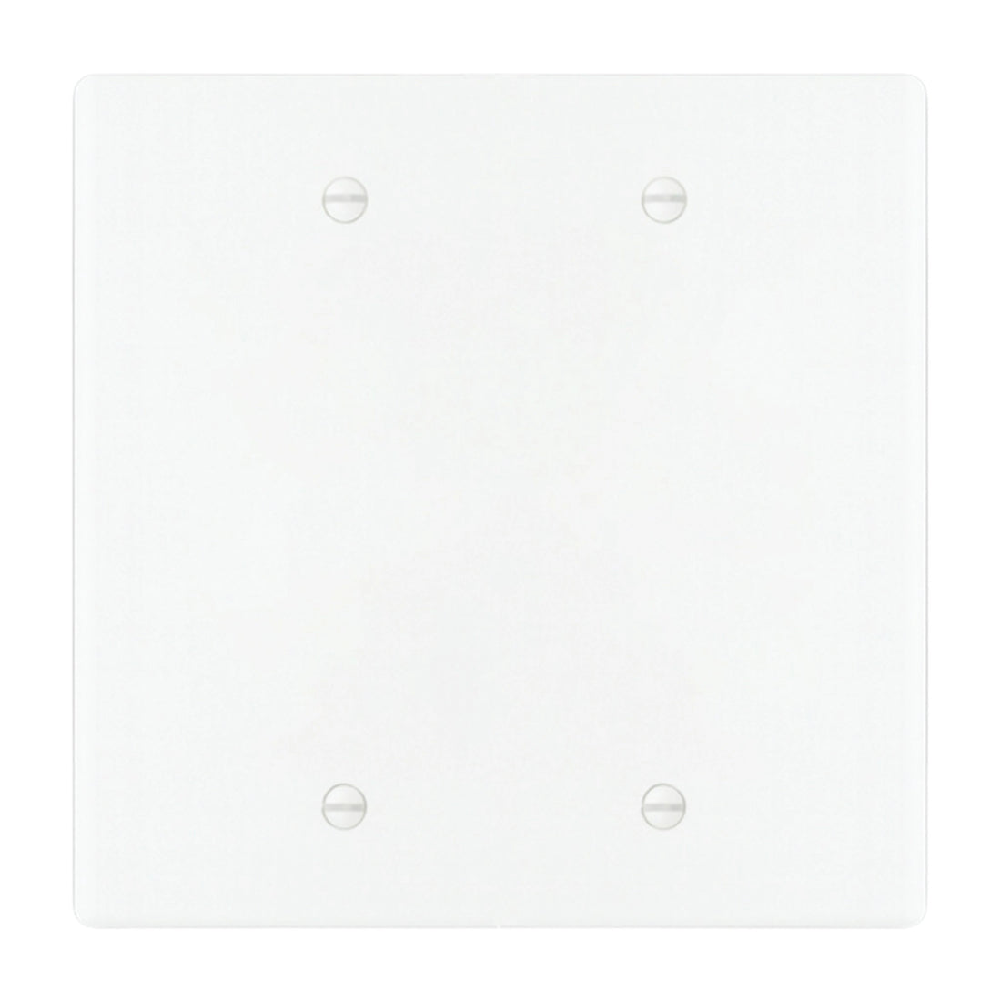 2-gang blank wall plate in White 