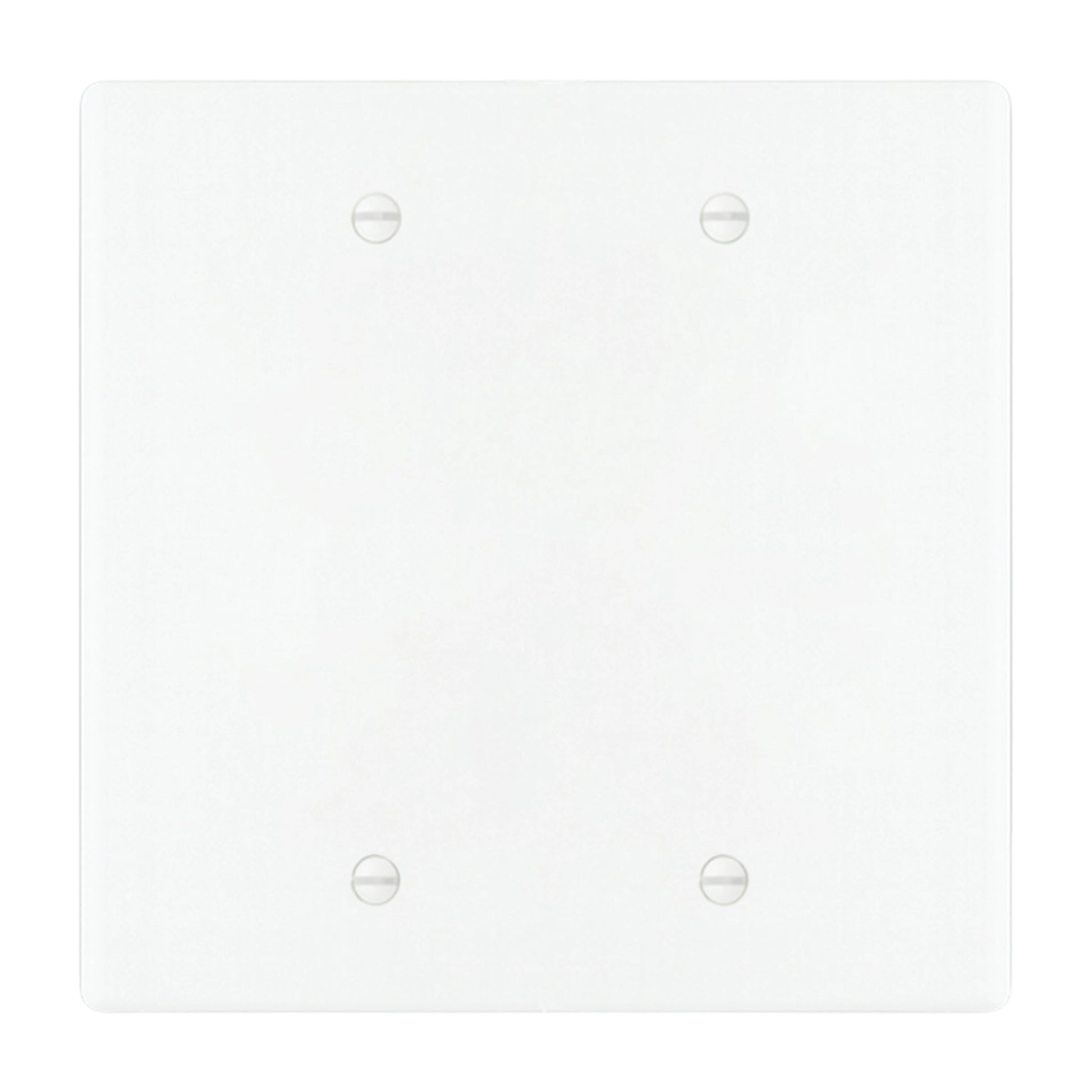 2-gang blank wall plate in White 