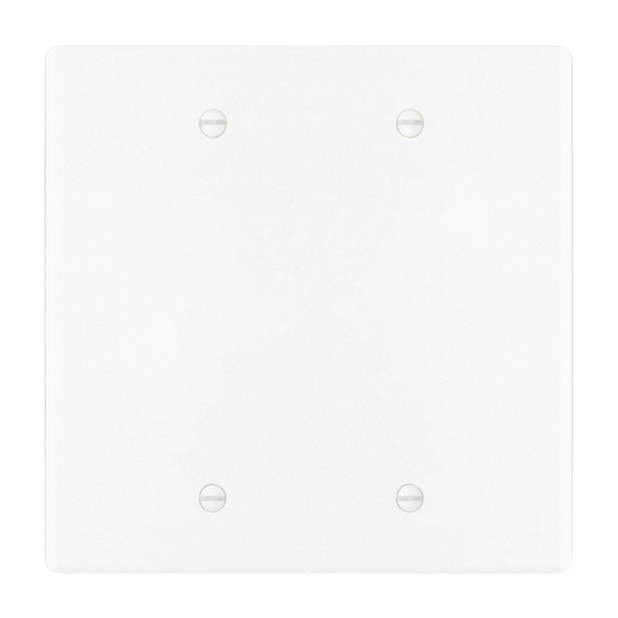 2-gang blank wall plate in White 