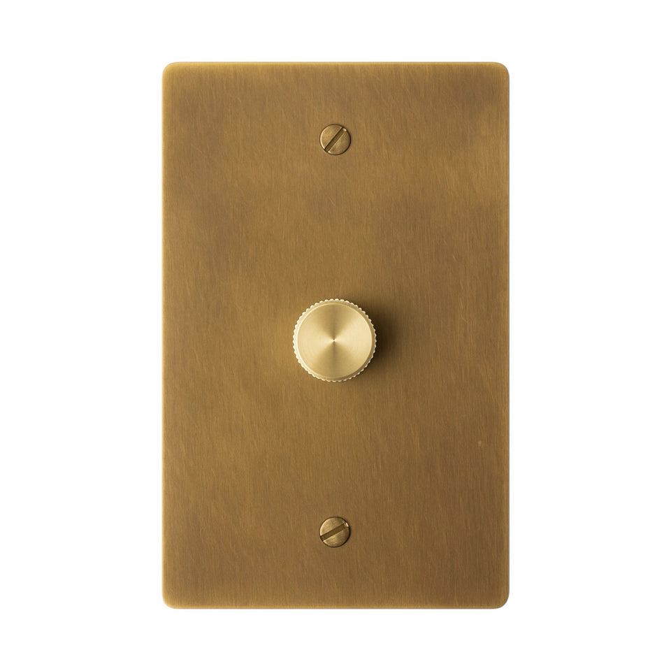 Antique brushed brass rotary dimmer switch.