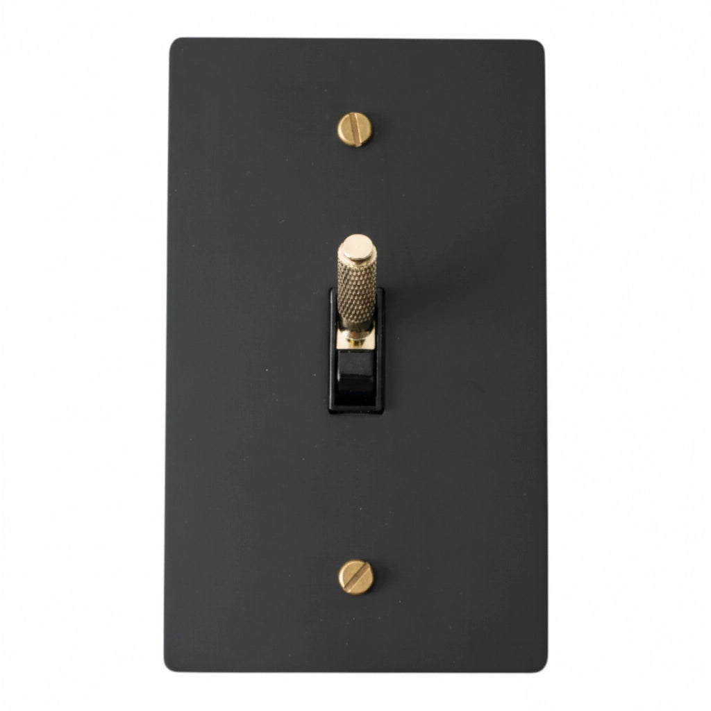 Black light switch plate with gold screws on a white background
