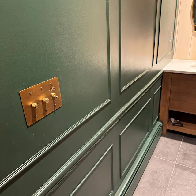 Brass switch details in a bathroom with green wall panelling.