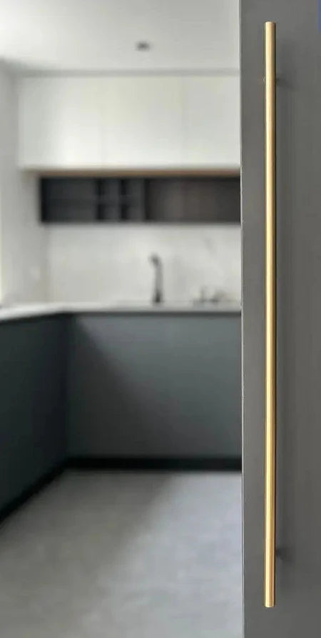 Modern interior door with long round rod gold pull.