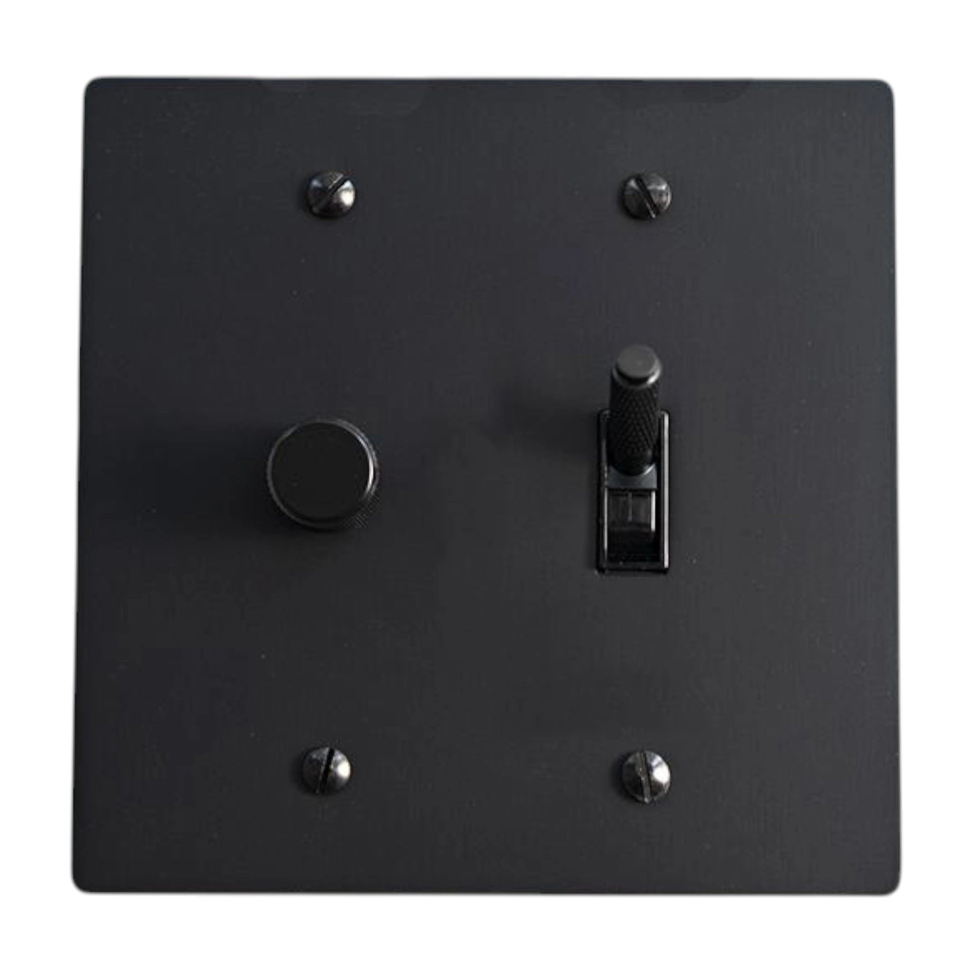 Black light switch plate with two switches on a white background
