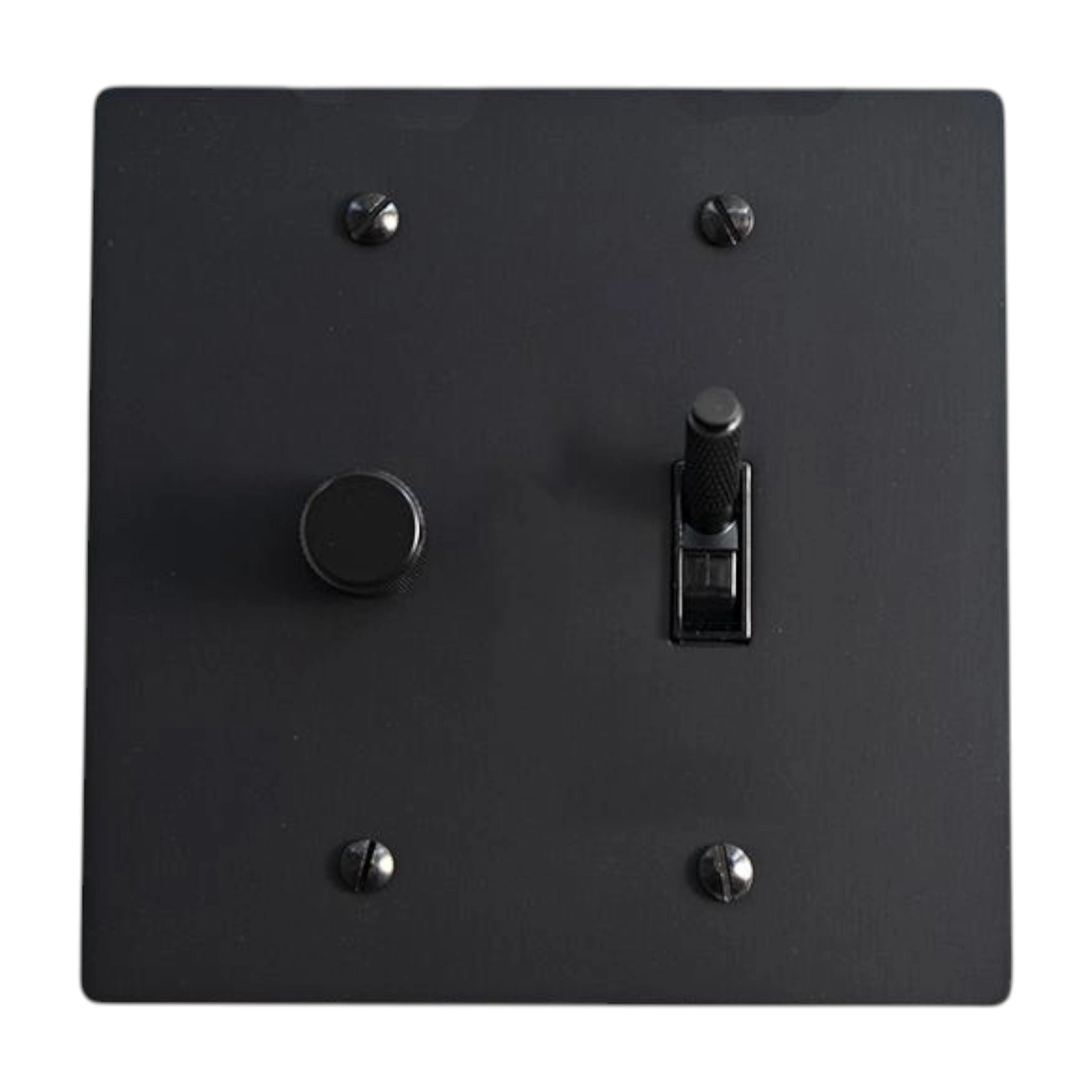 Black light switch plate with two switches on a white background
