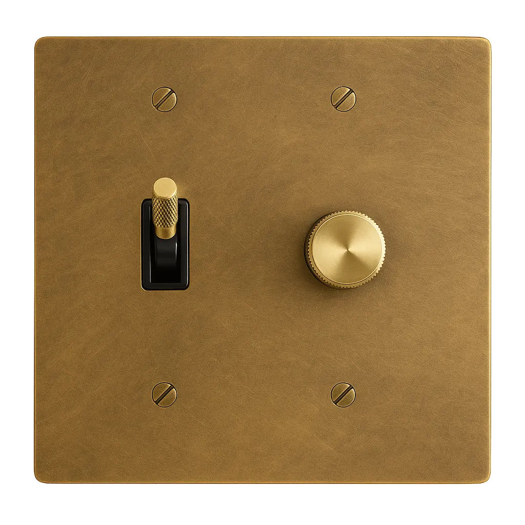 Antique brass wall switch plate with  toggle and gold rotary control on a white background