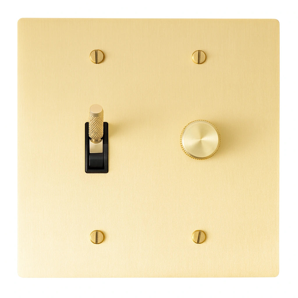 Gold light switch plate with a toggle switch and rotary dimmer on a white background