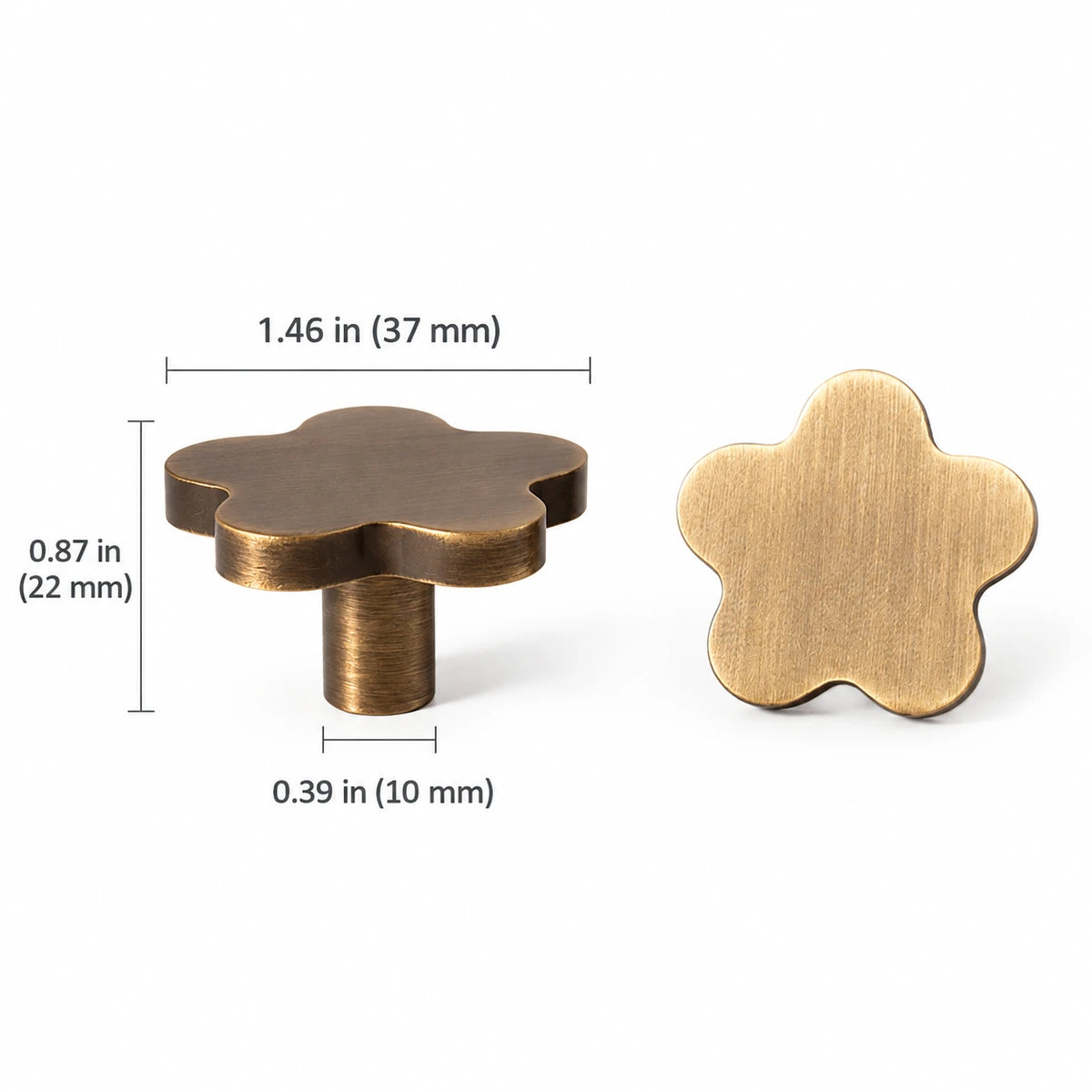 Star cabinet knob dimension diagram with 1.46 in (37 mm) face width and 0.87 in (22 mm) projection