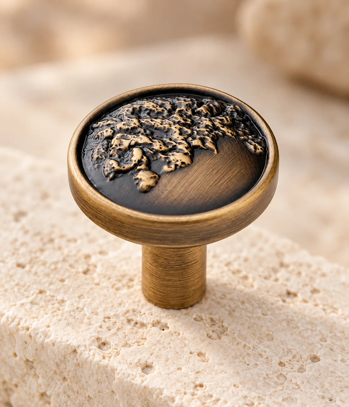 Close view of the raised organic relief and brushed rim on an antique brass cabinet knob