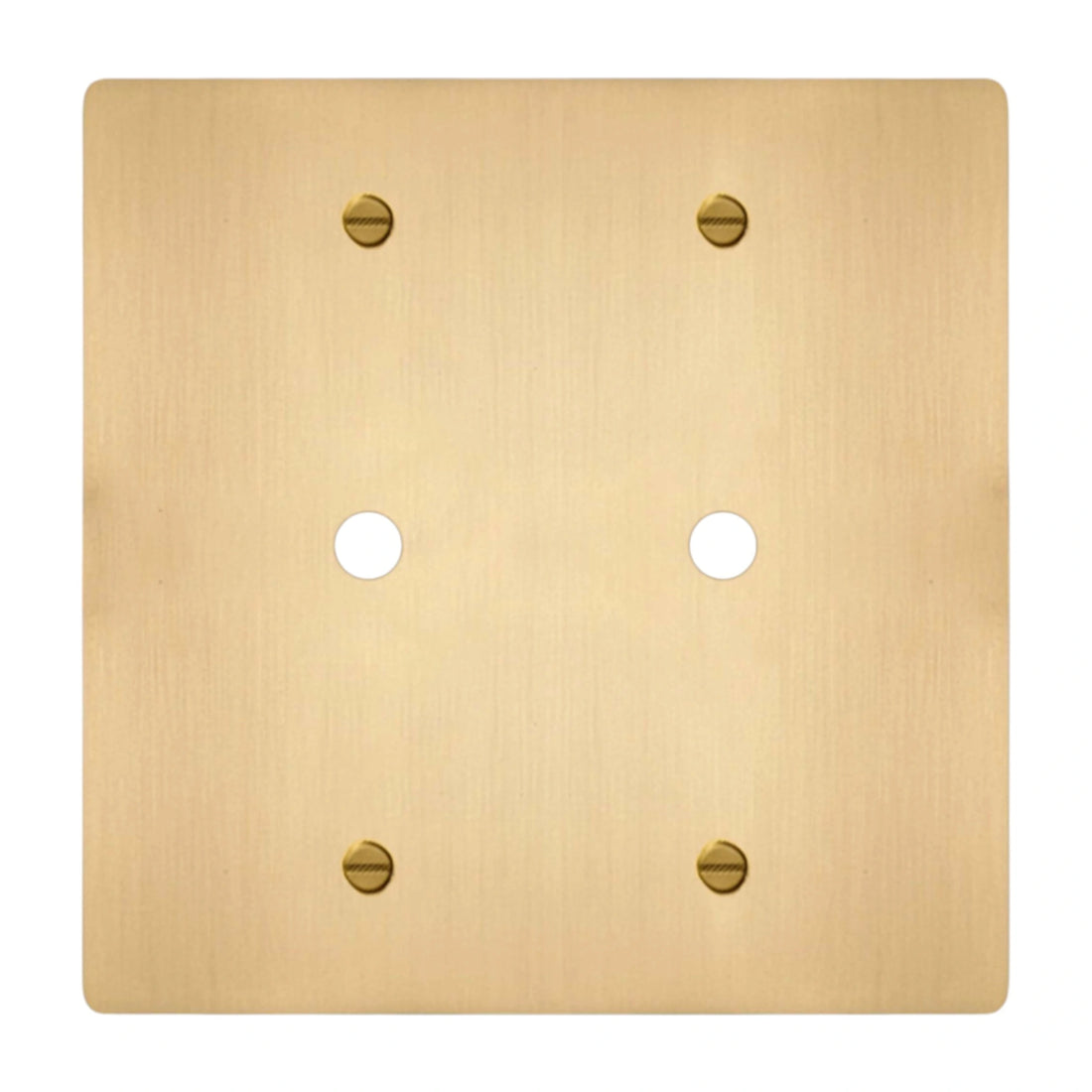 2-gang solid brass dimmer wall plate in satin brass finish, double rotary opening