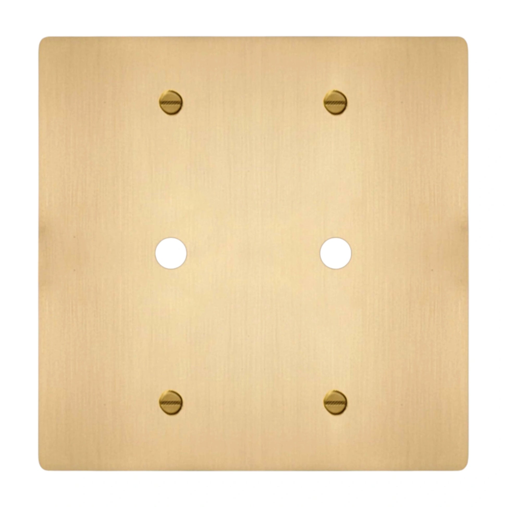 2-gang solid brass dimmer wall plate in satin brass finish, double rotary opening