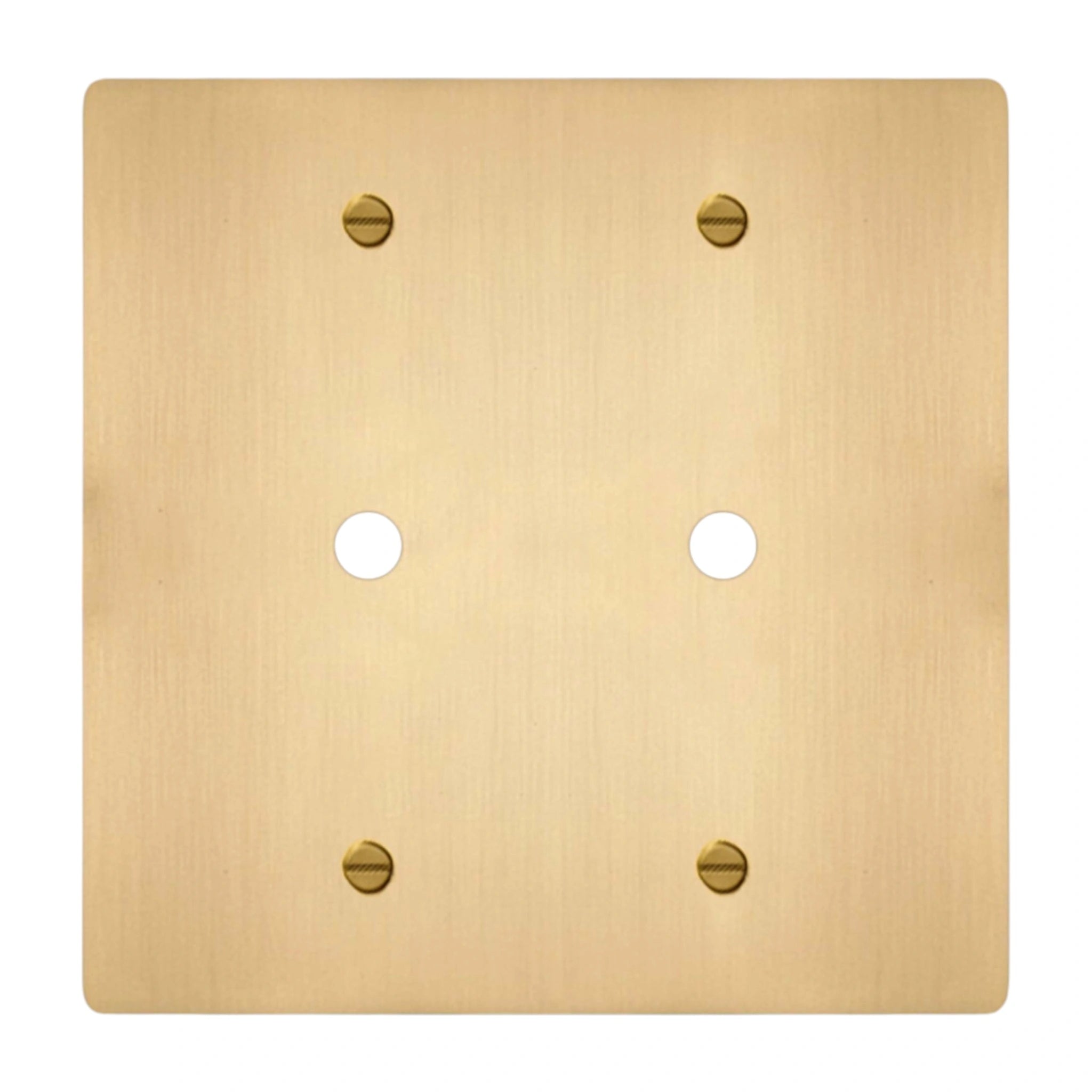 2-gang solid brass dimmer wall plate in satin brass finish, double rotary opening