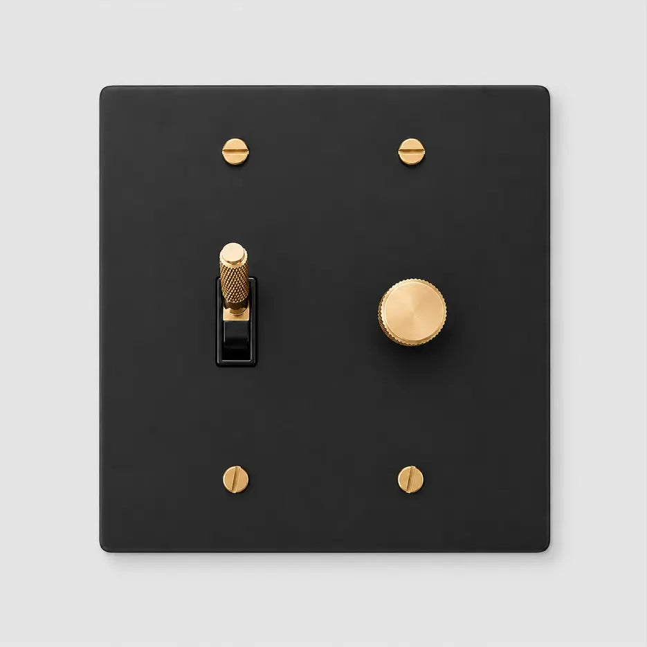 Custom 2 gang black light switch plate with brass dimmer and toggle switch