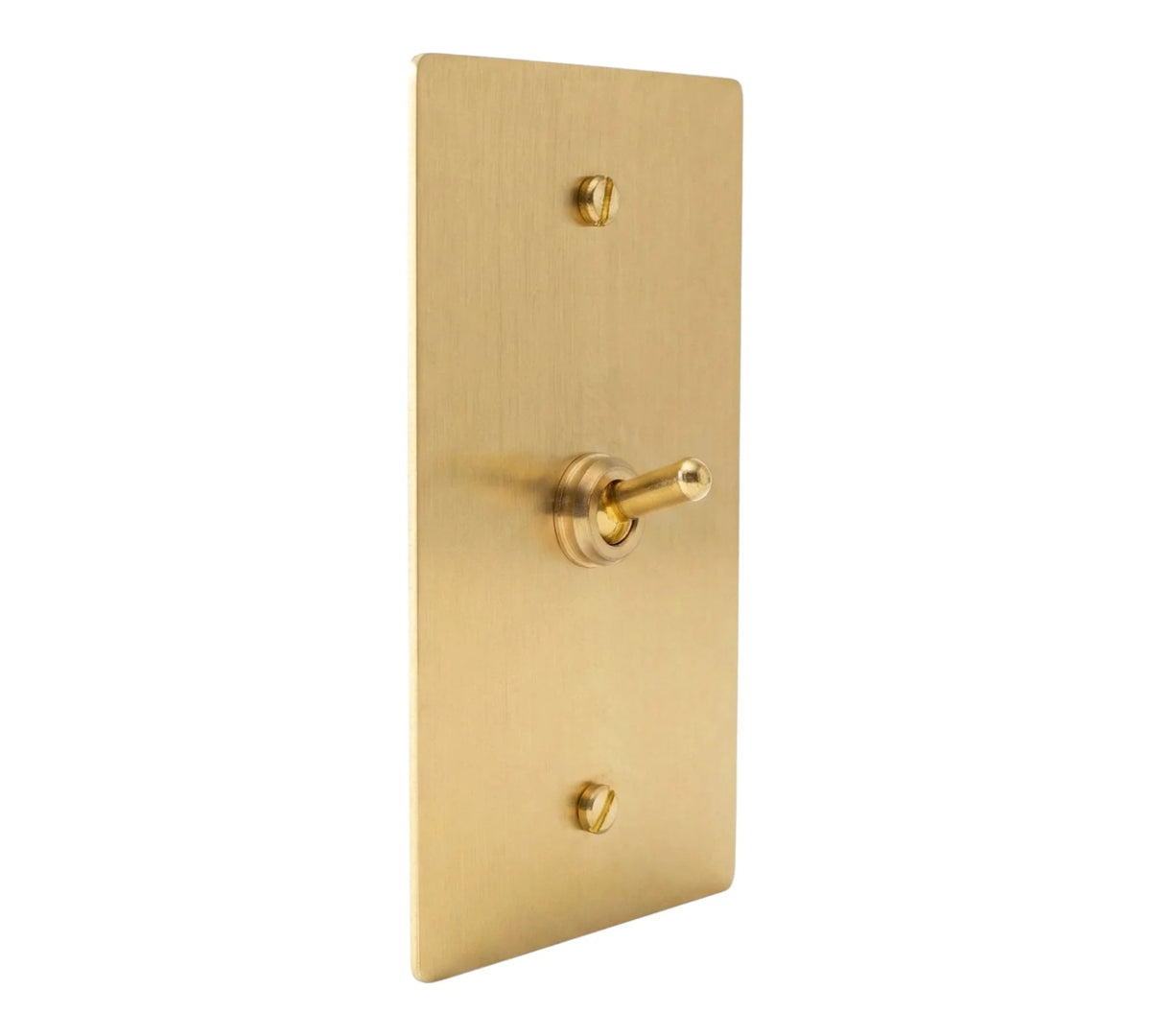 One smooth brass retro toggle with momentary, spring-return action: the toggle returns after being pressed. Satin-brass single-gang plate, brass toggle and screws.